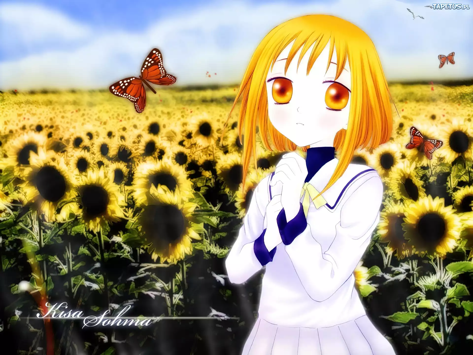 Fruits Basket, dziewczyna, polana, motyle