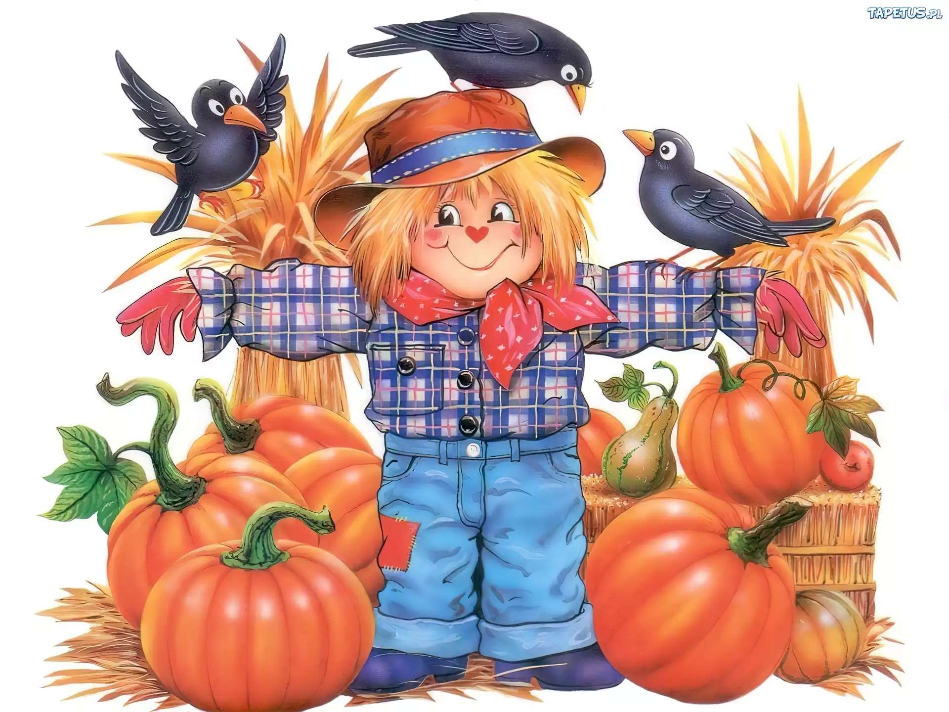 Halloween,dynie , strach na wróble