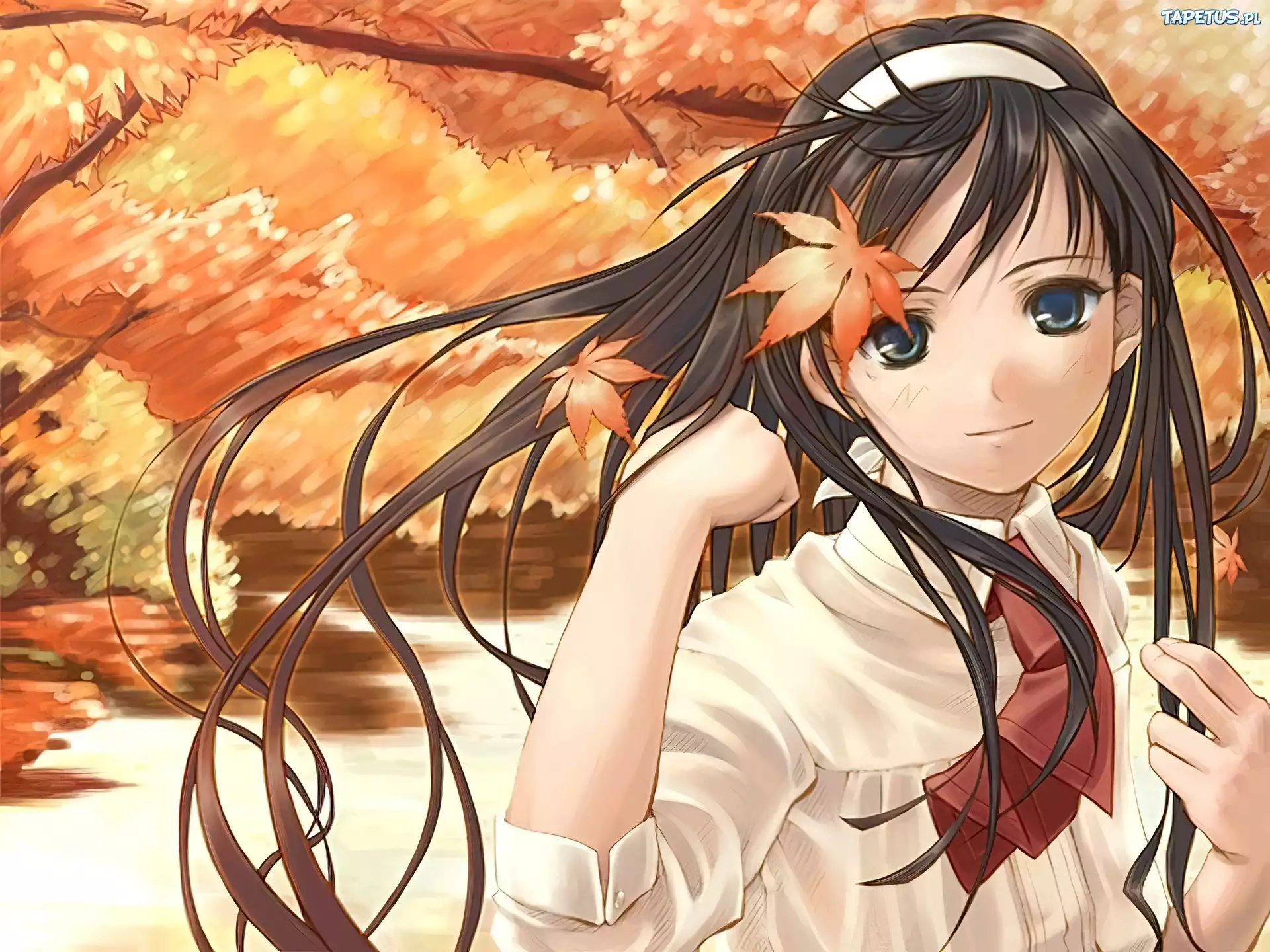 Shingetsutan Tsukihime, jesienne liście