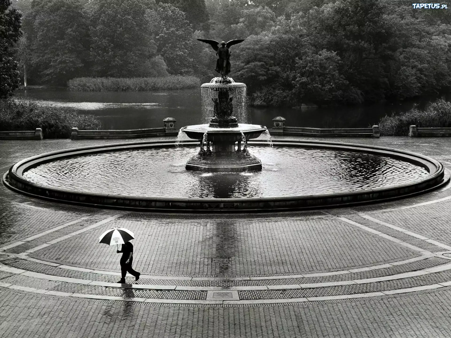 Nowy Jork, fontana