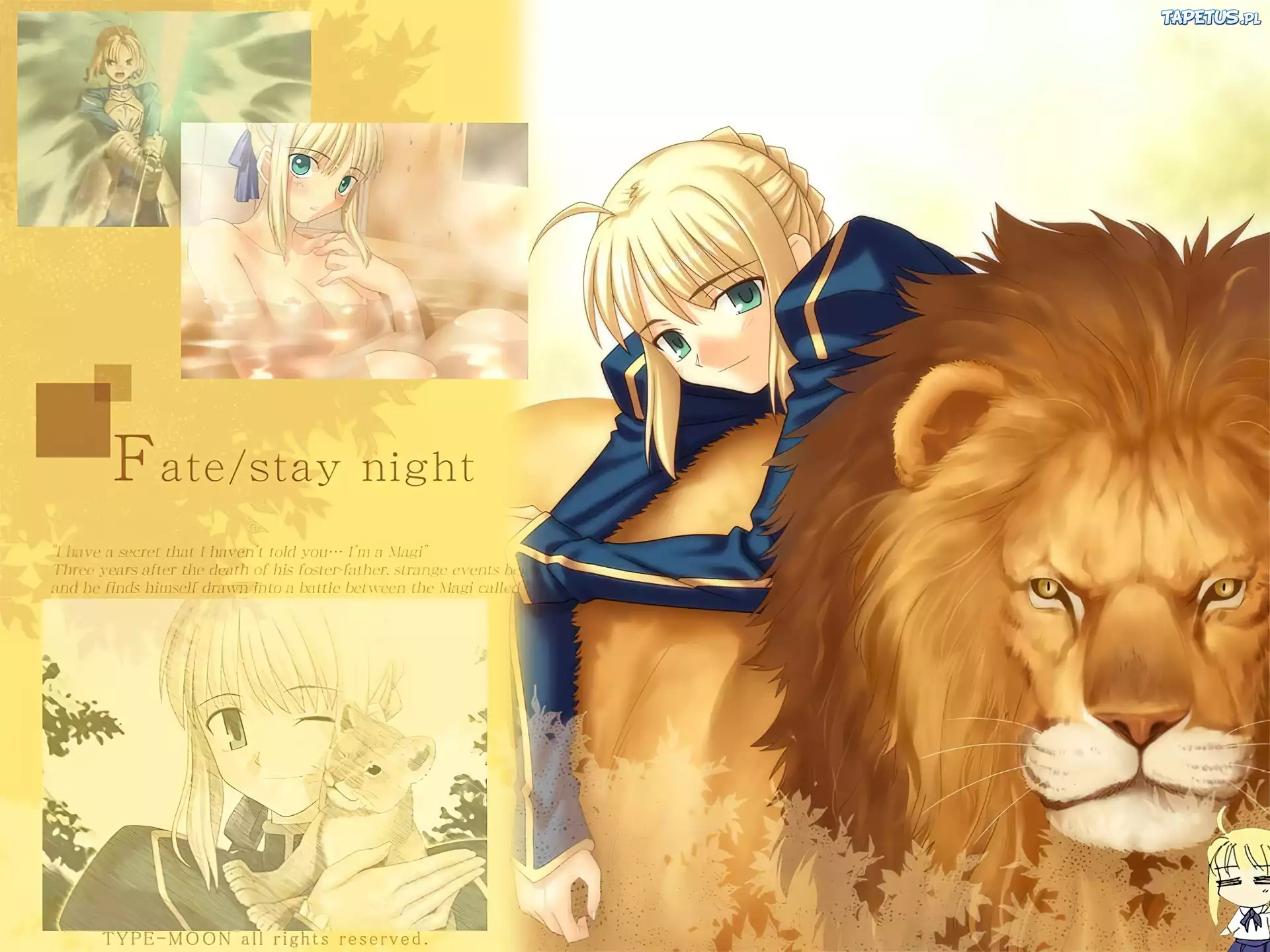 Fate Stay Night, zdjęcia, kobieta, lew, kąpiel