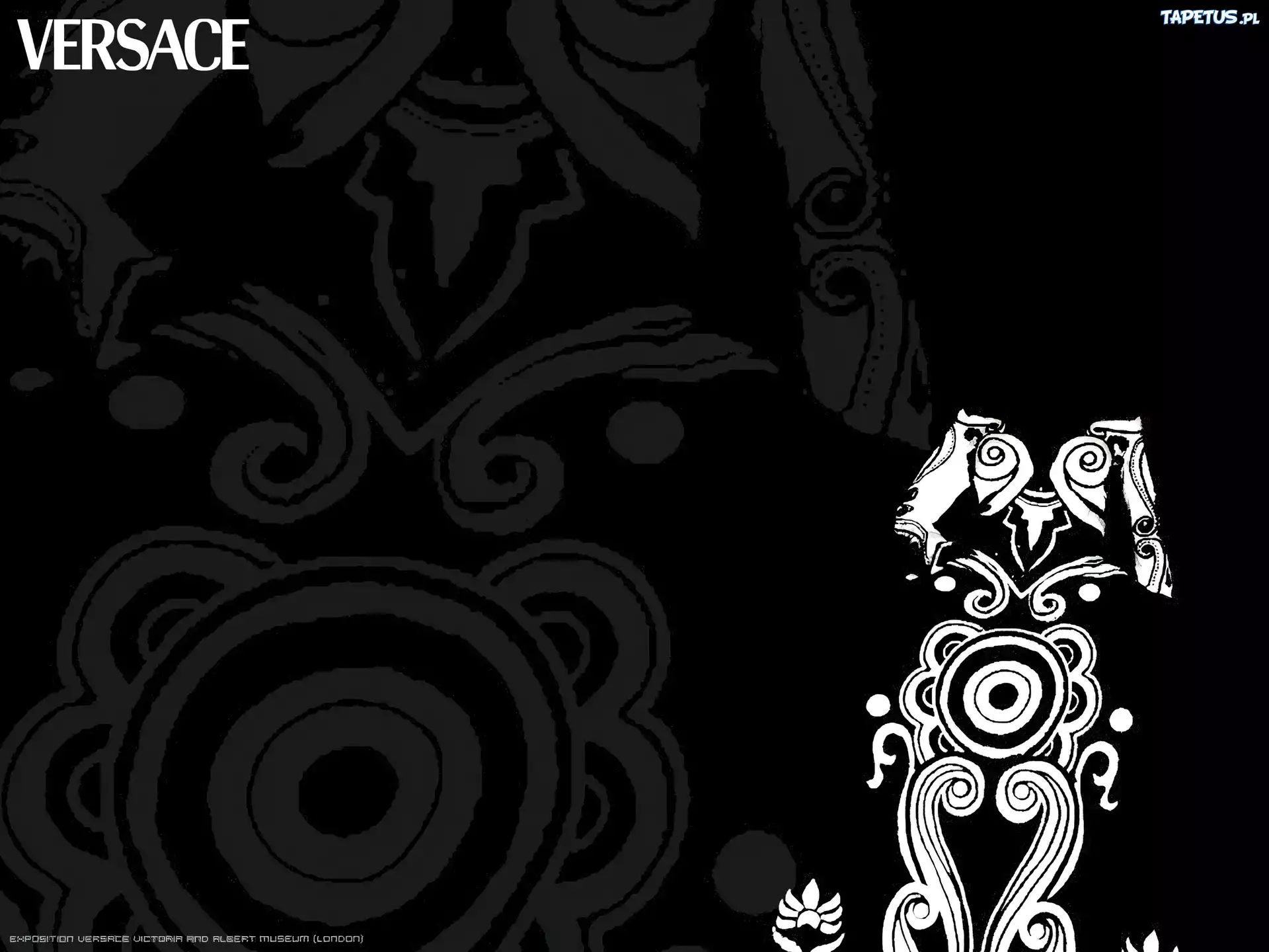 Versace, grafika, wzór