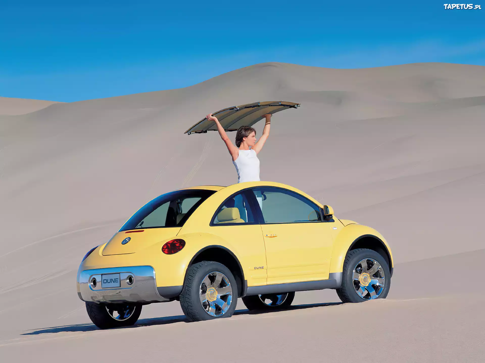 Volkswagen New Beetle, Pustynia