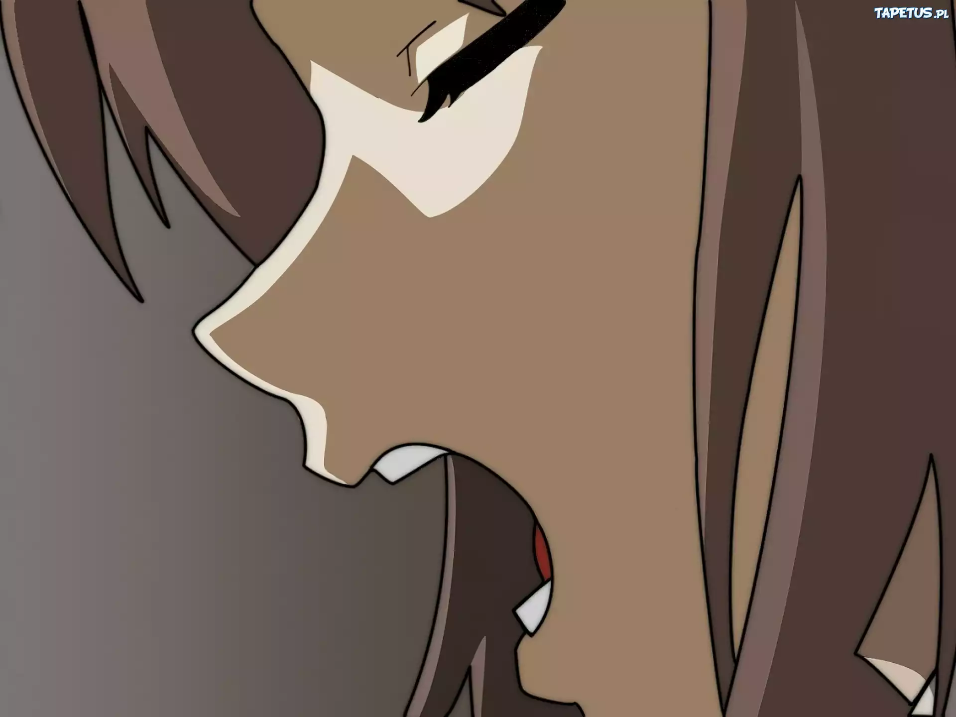 Suzumiya Haruhi No Yuuutsu,profil