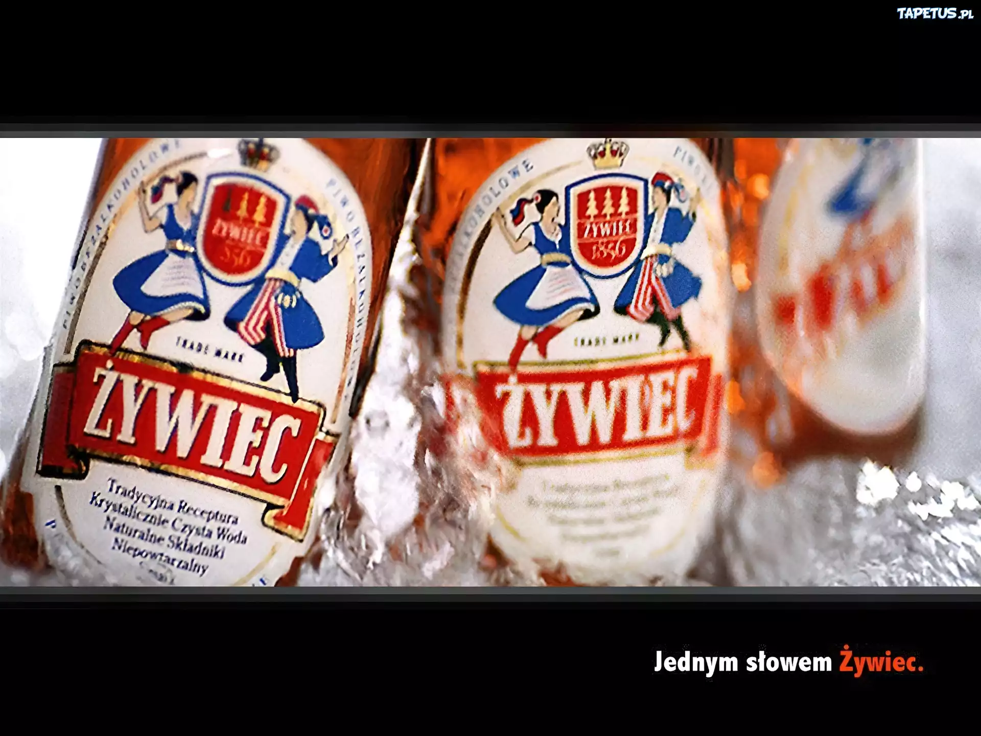 Piwo, Piwo Żywiec, butelki