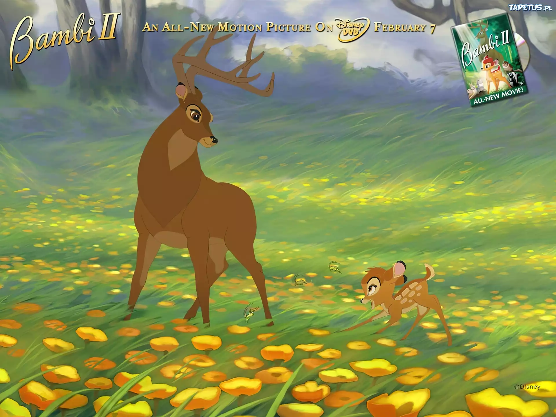 Bambi, łania, Bambi 2