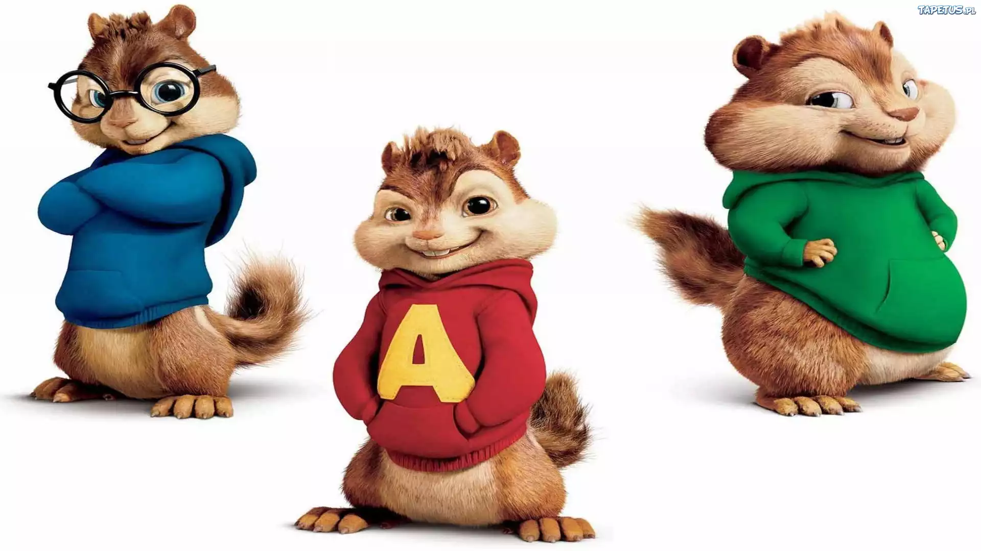 Alvin i wiewiórki 2, bluzy, kaptur