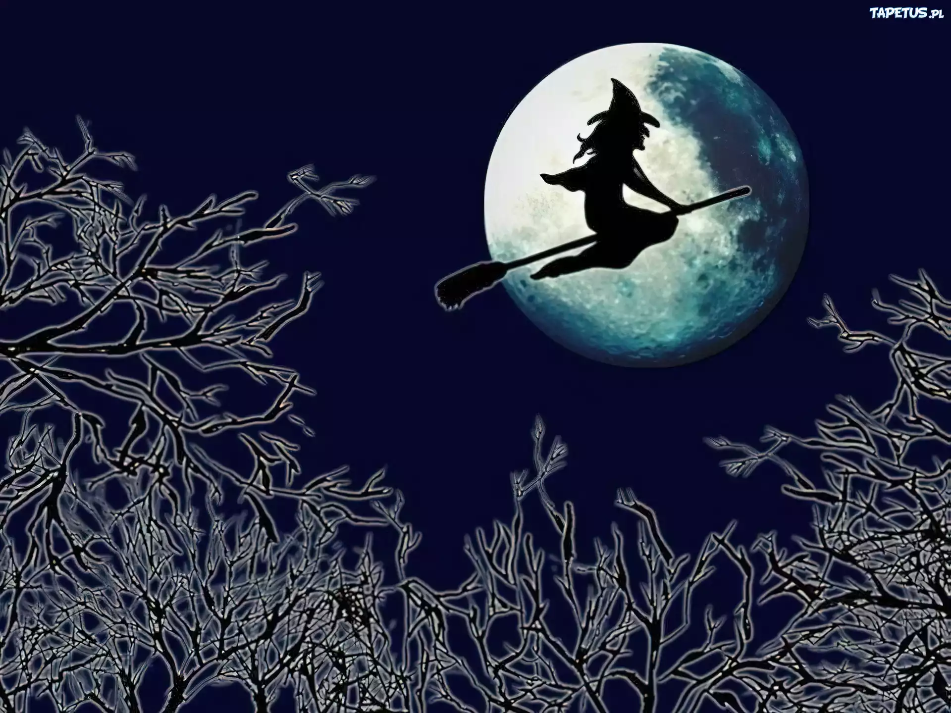 Halloween,baba jaga na miotle