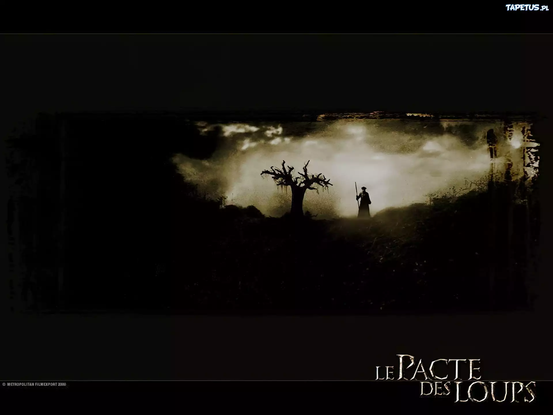 mgła, postać, drzewo, Brotherhood Of The Wolf