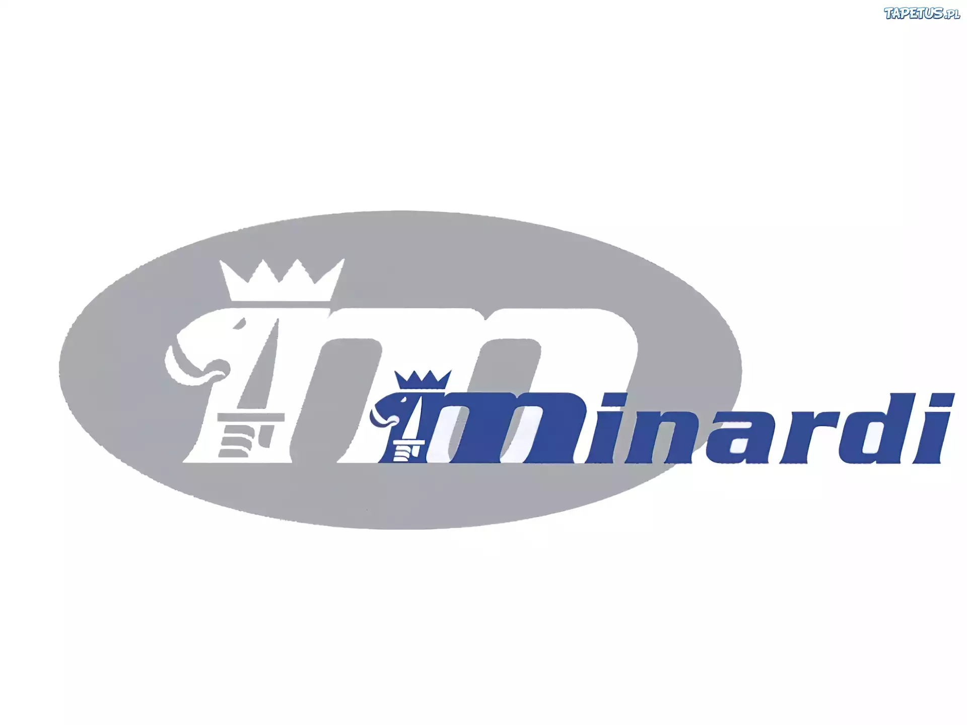 Formuła 1,Minardi