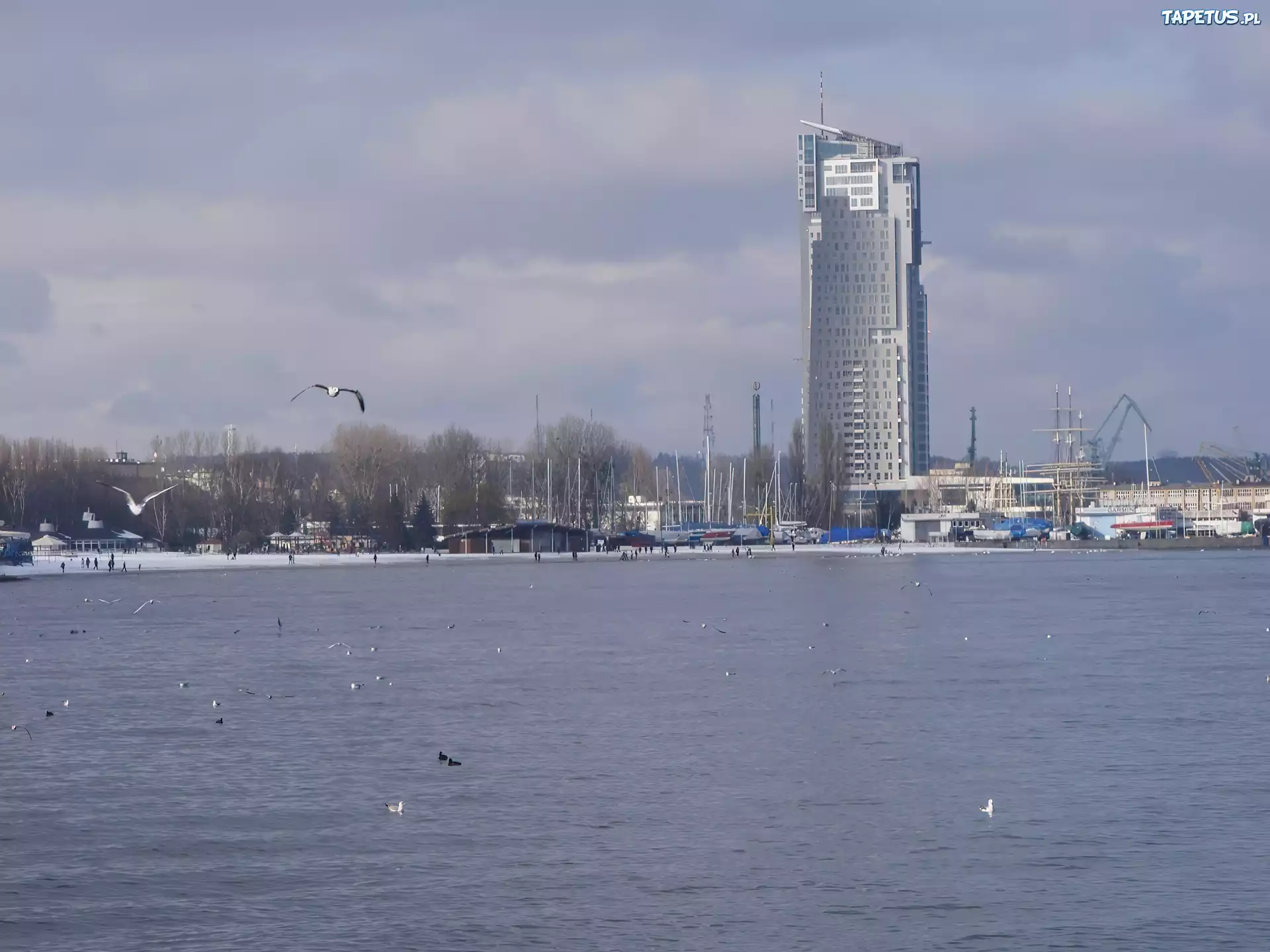 Gdynia, See Tower