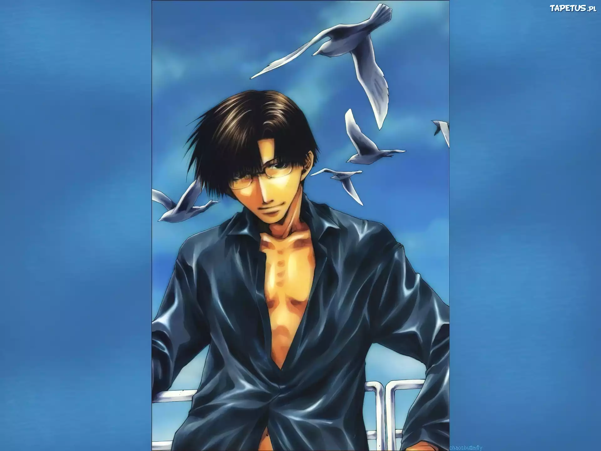 Saiyuki, facet, ptaki