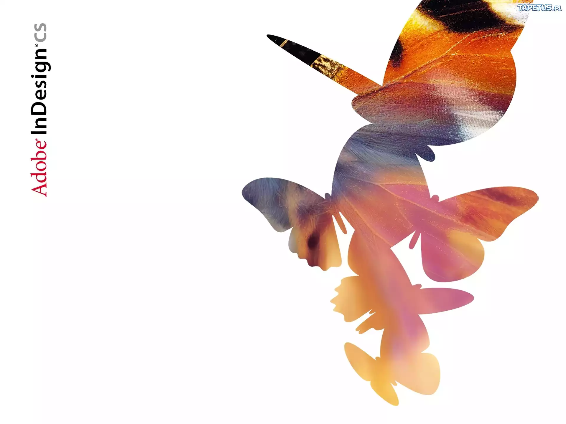 Adobe, motyle