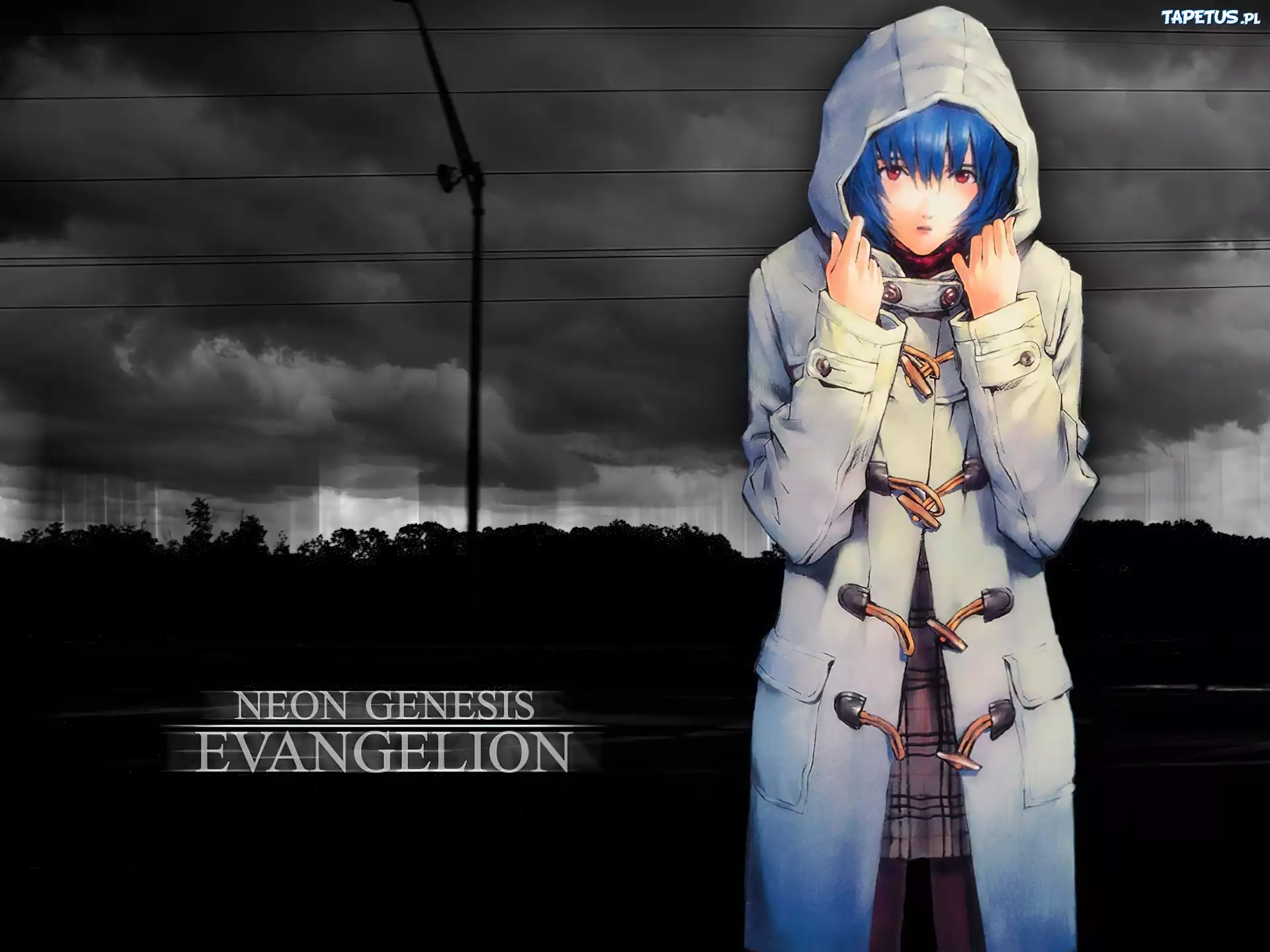 Neon Genesis Evangelion, kobieta, płaszcz, kable