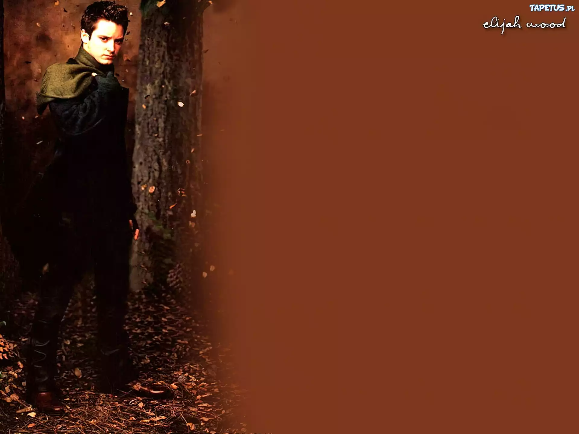 Elijah Wood,drzewo, liście