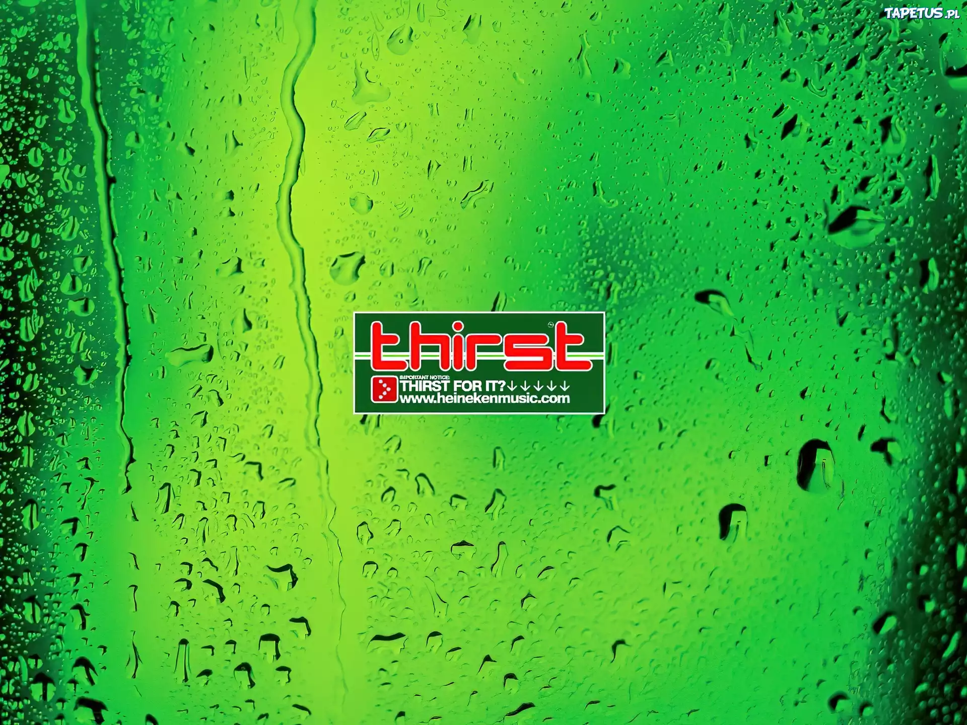 Piwo, Heineken, thirst