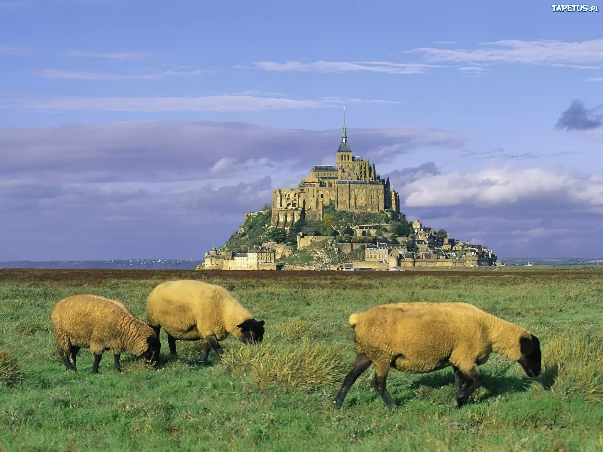 Francja, Zamek, San Michel