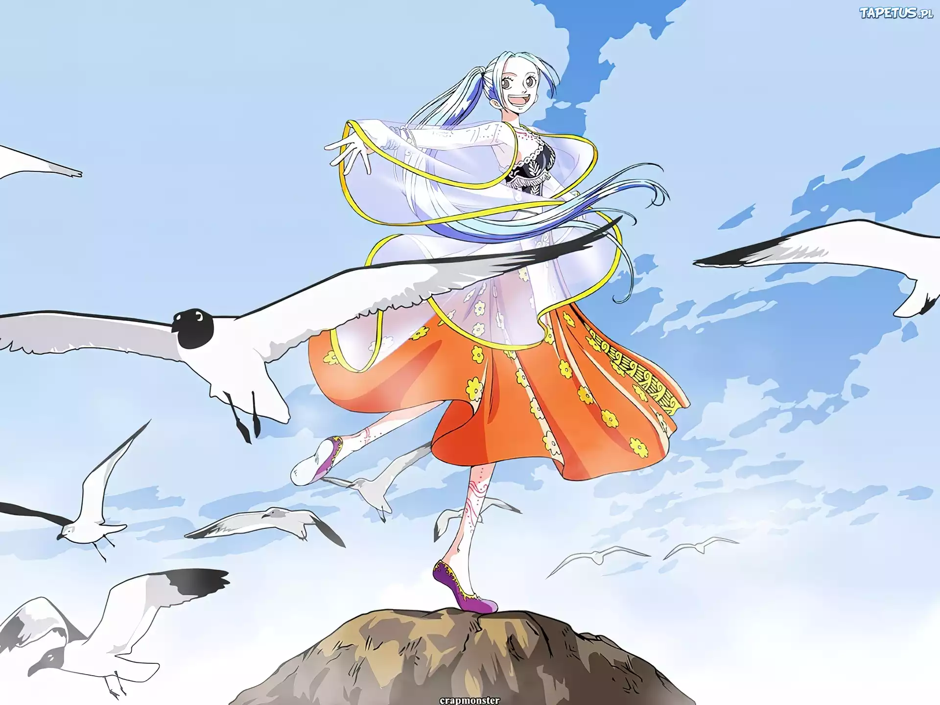 One Piece, kobieta, ptaki