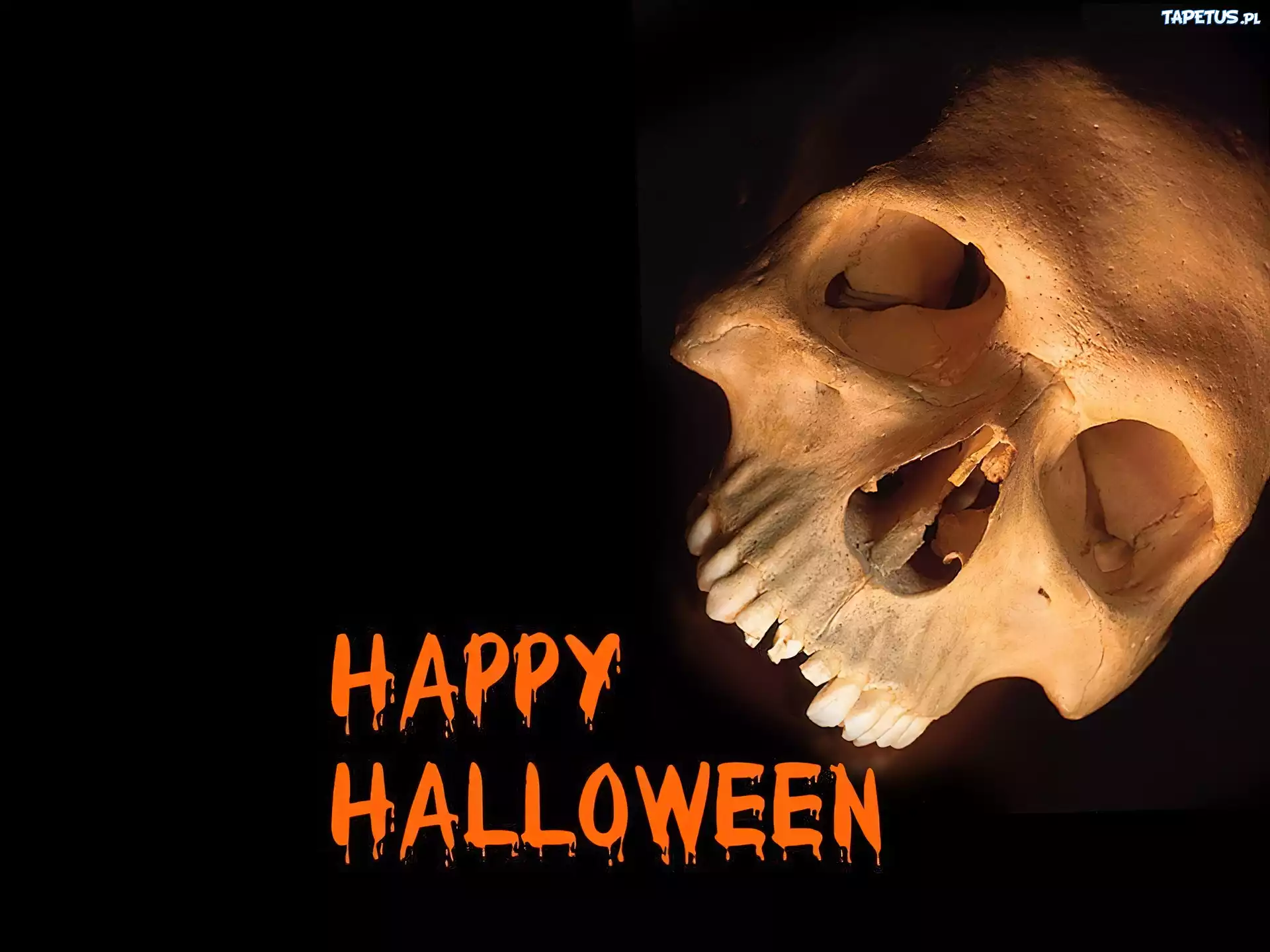 Halloween,czaszka