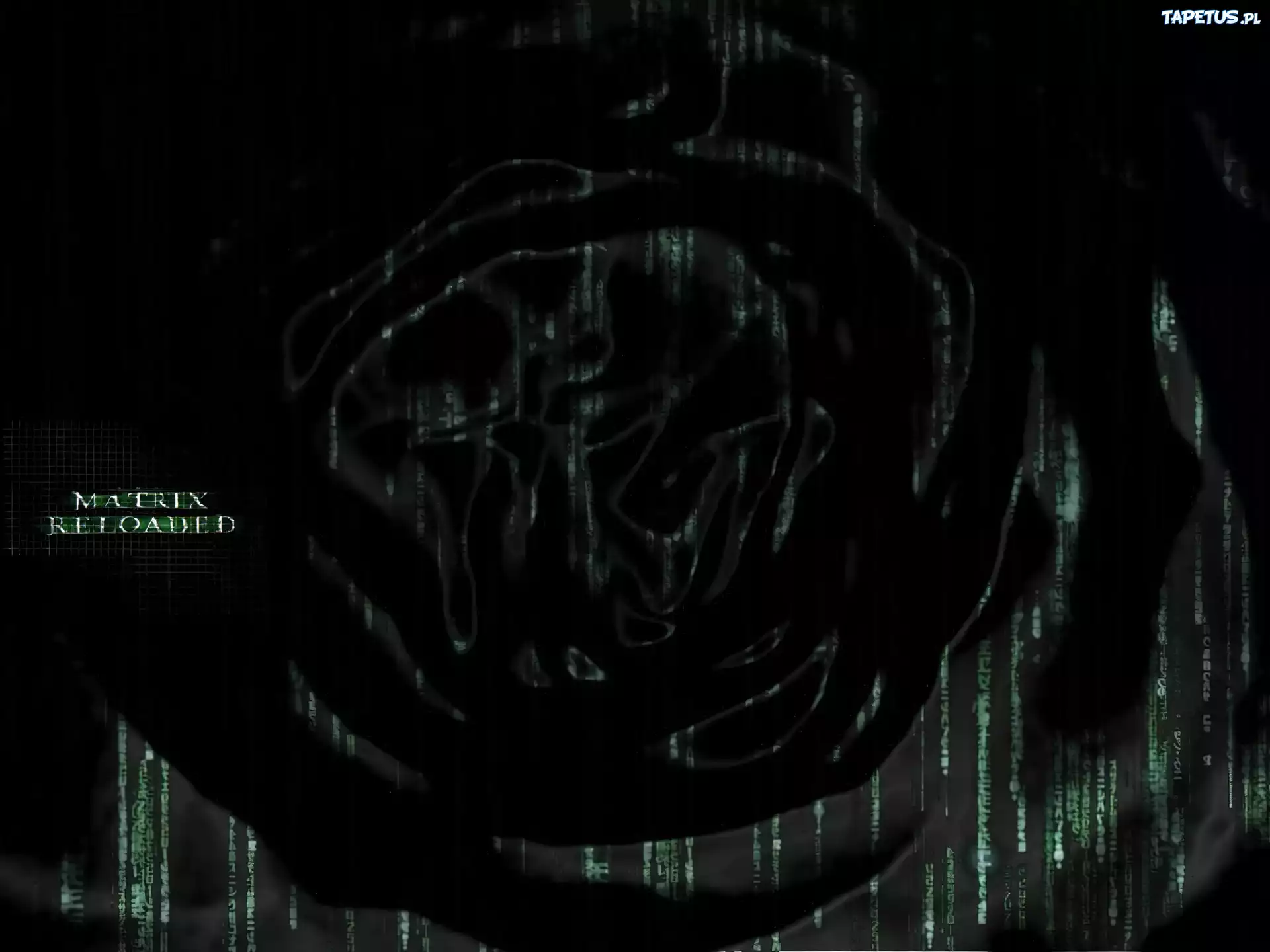 Matrix, czarne, plamy, napis