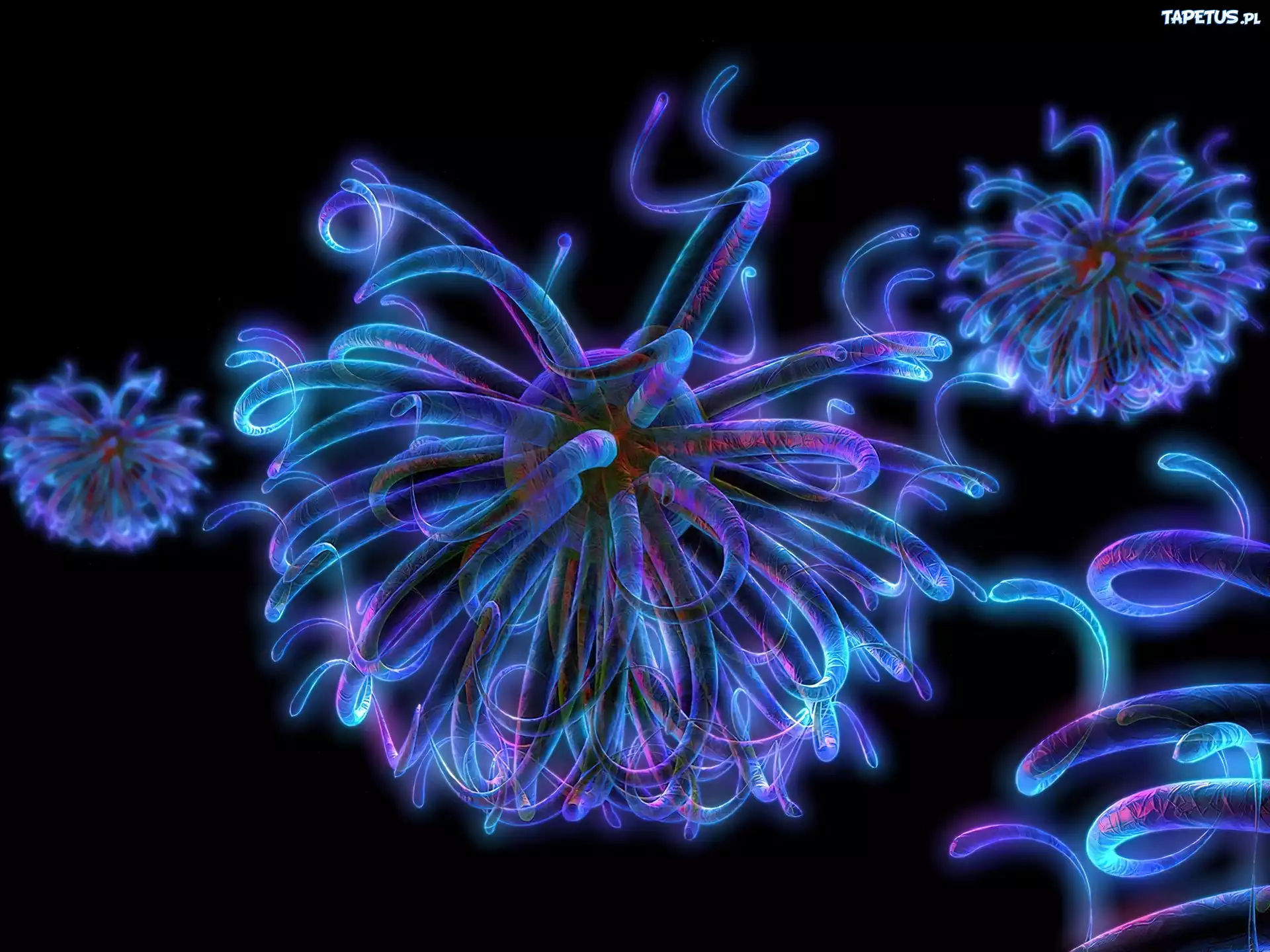 3D, Wektorowa, neon, fluorescencyjne