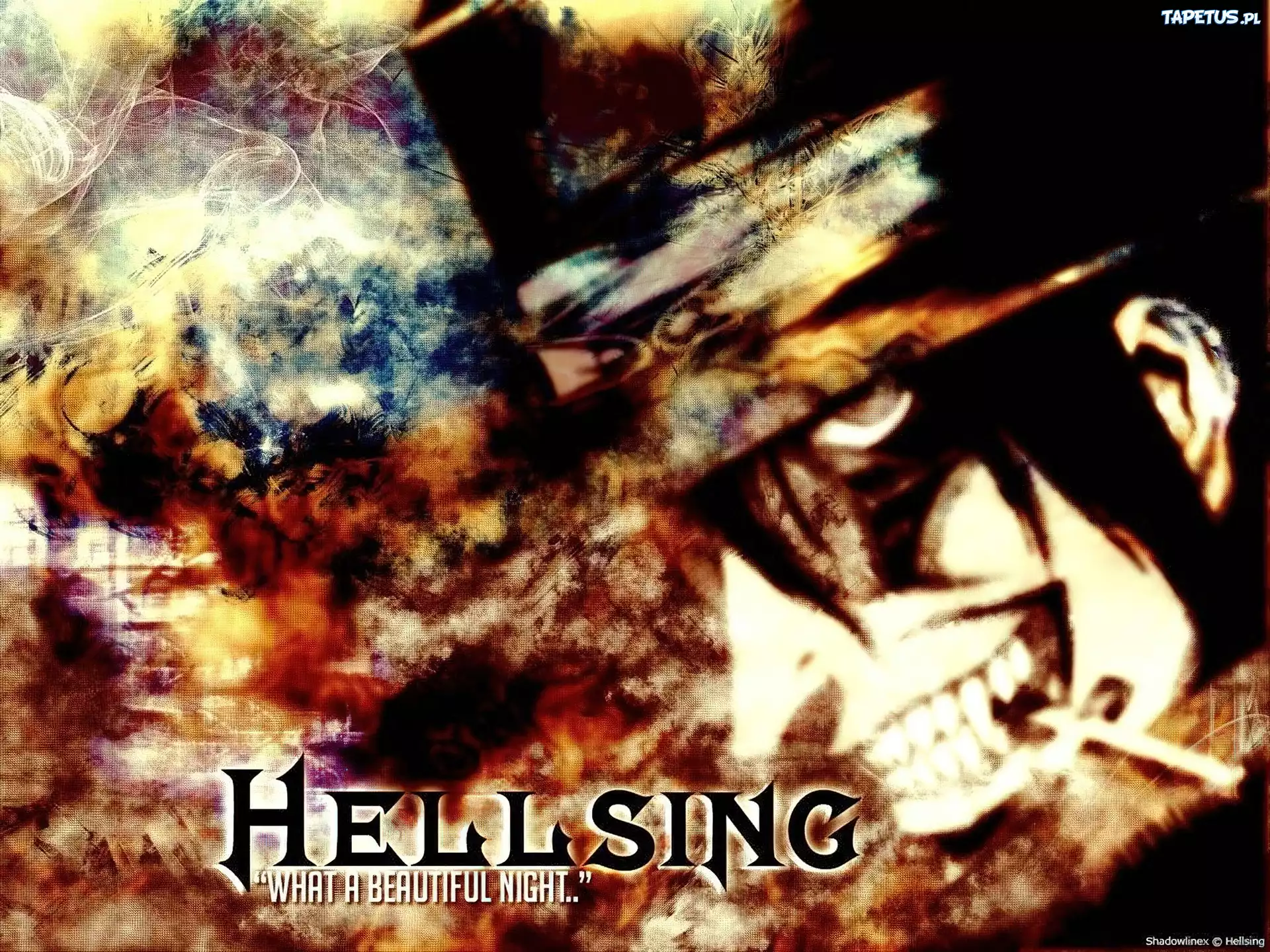 Hellsing, postać