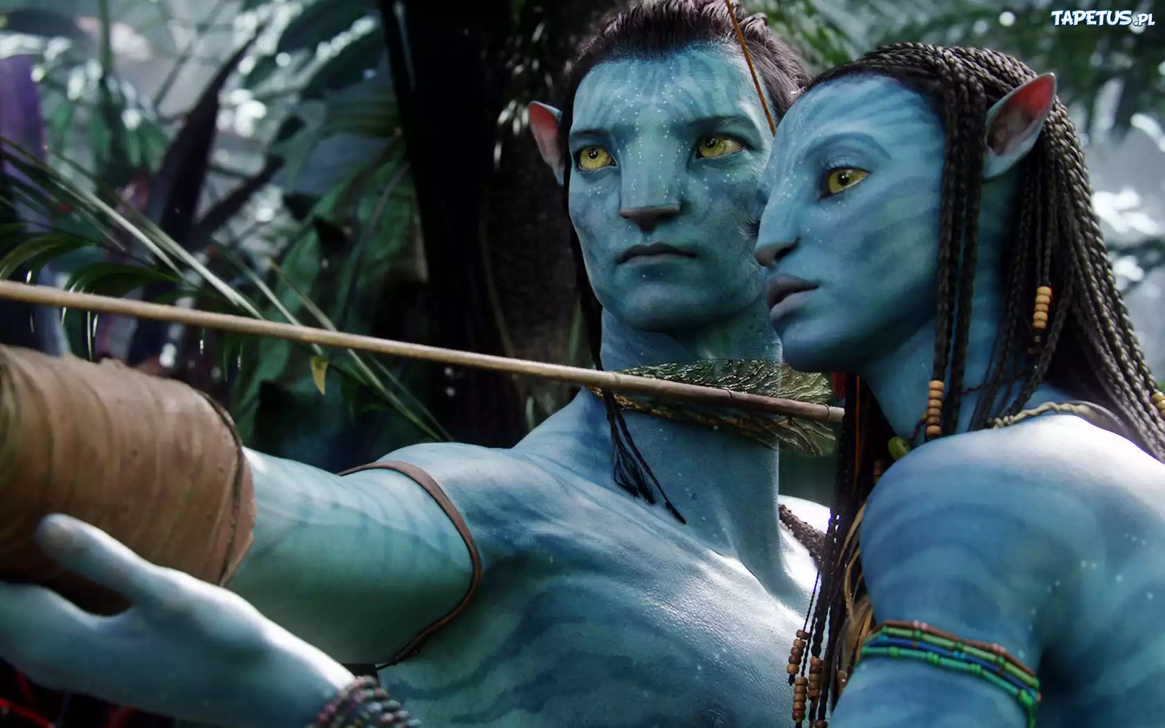Avatar, Kobieta, Mężczyzna
