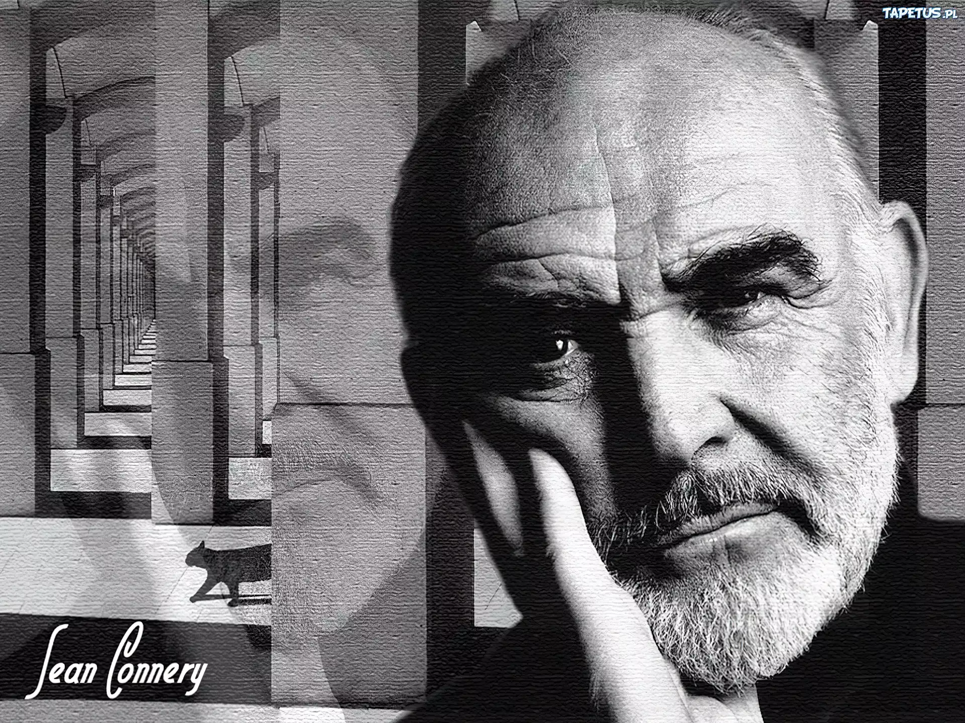 Sean Connery,kot