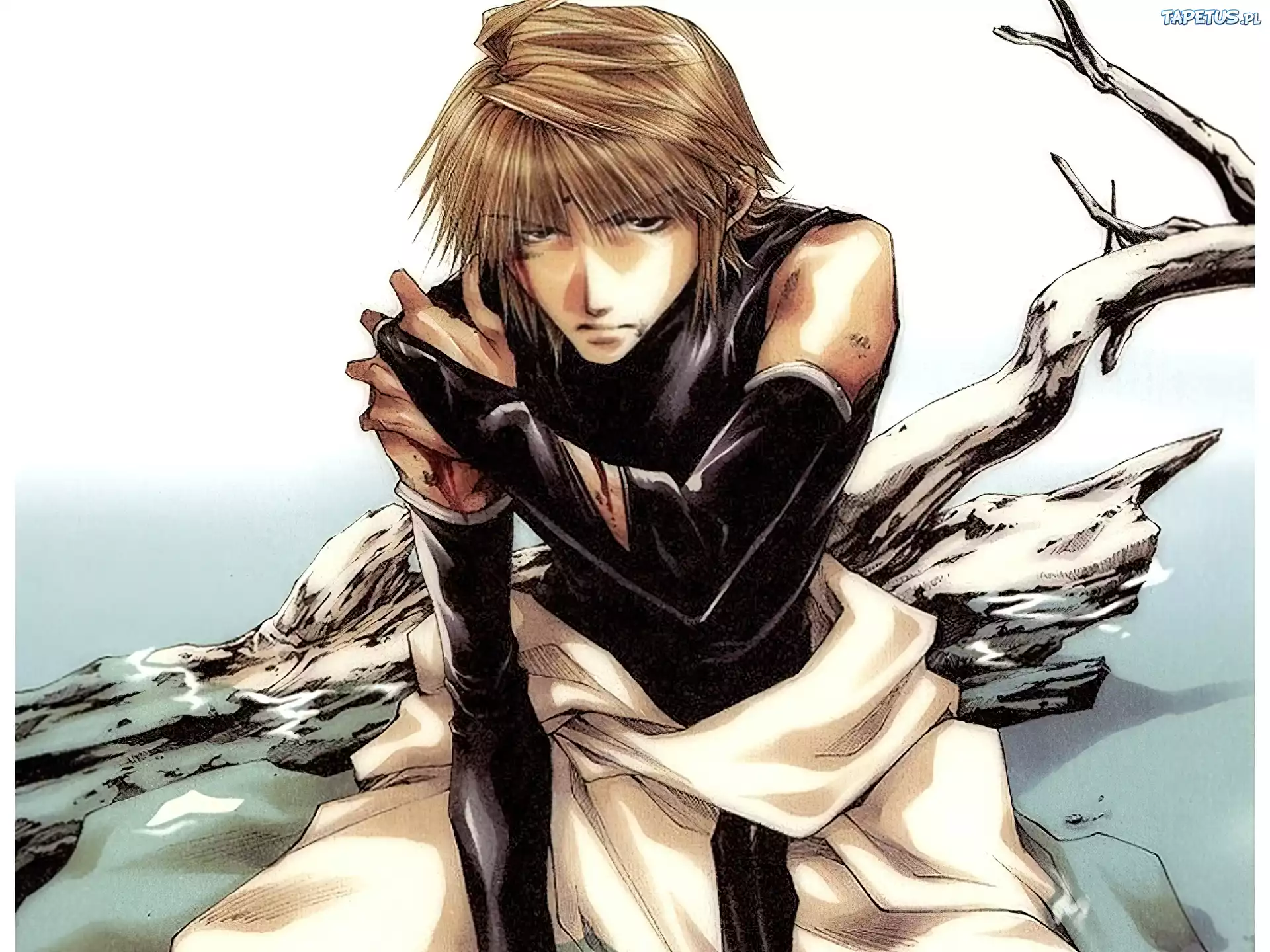 Saiyuki, chłopak, konar