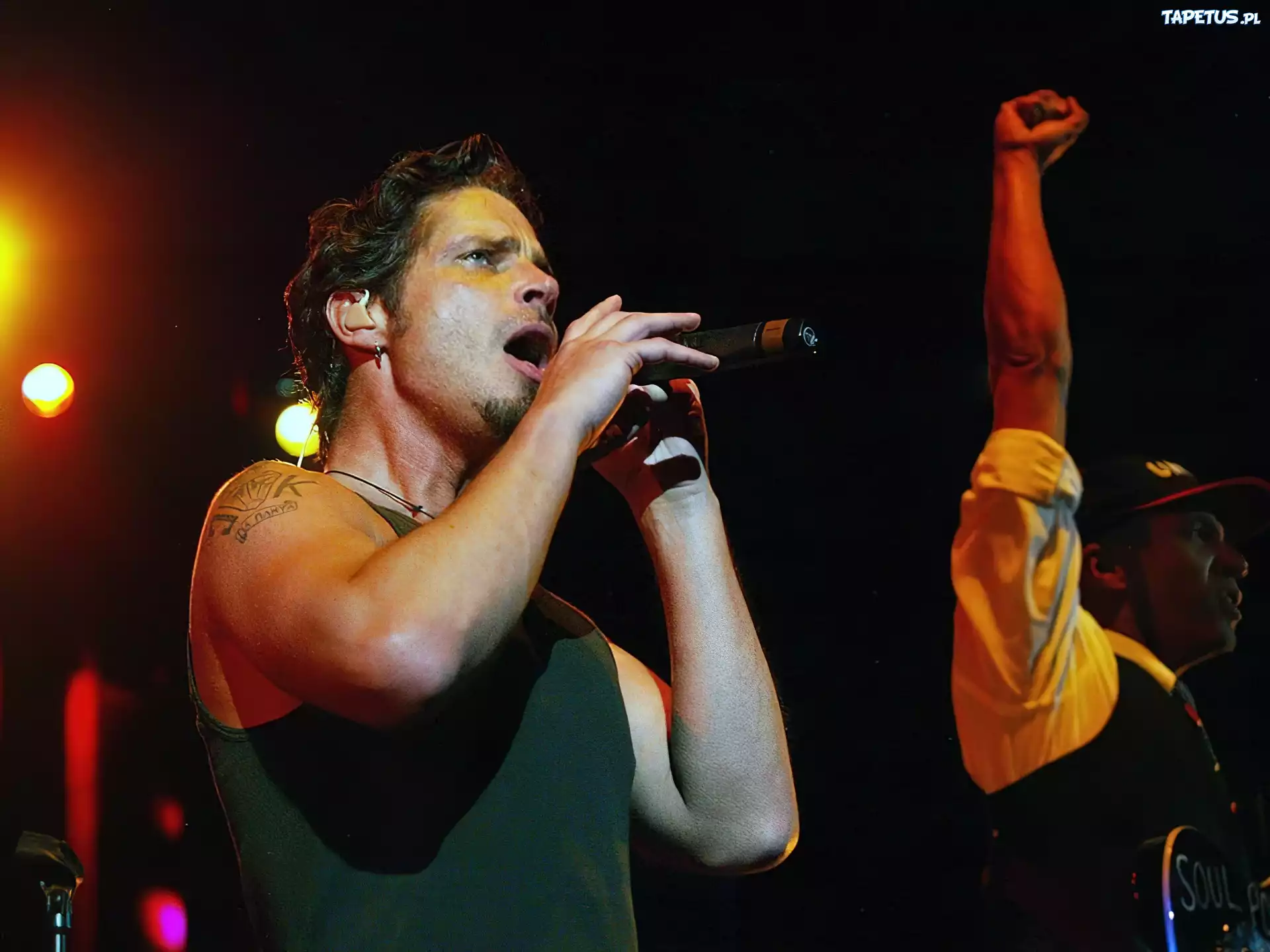 Audioslave,facet, mikrofon