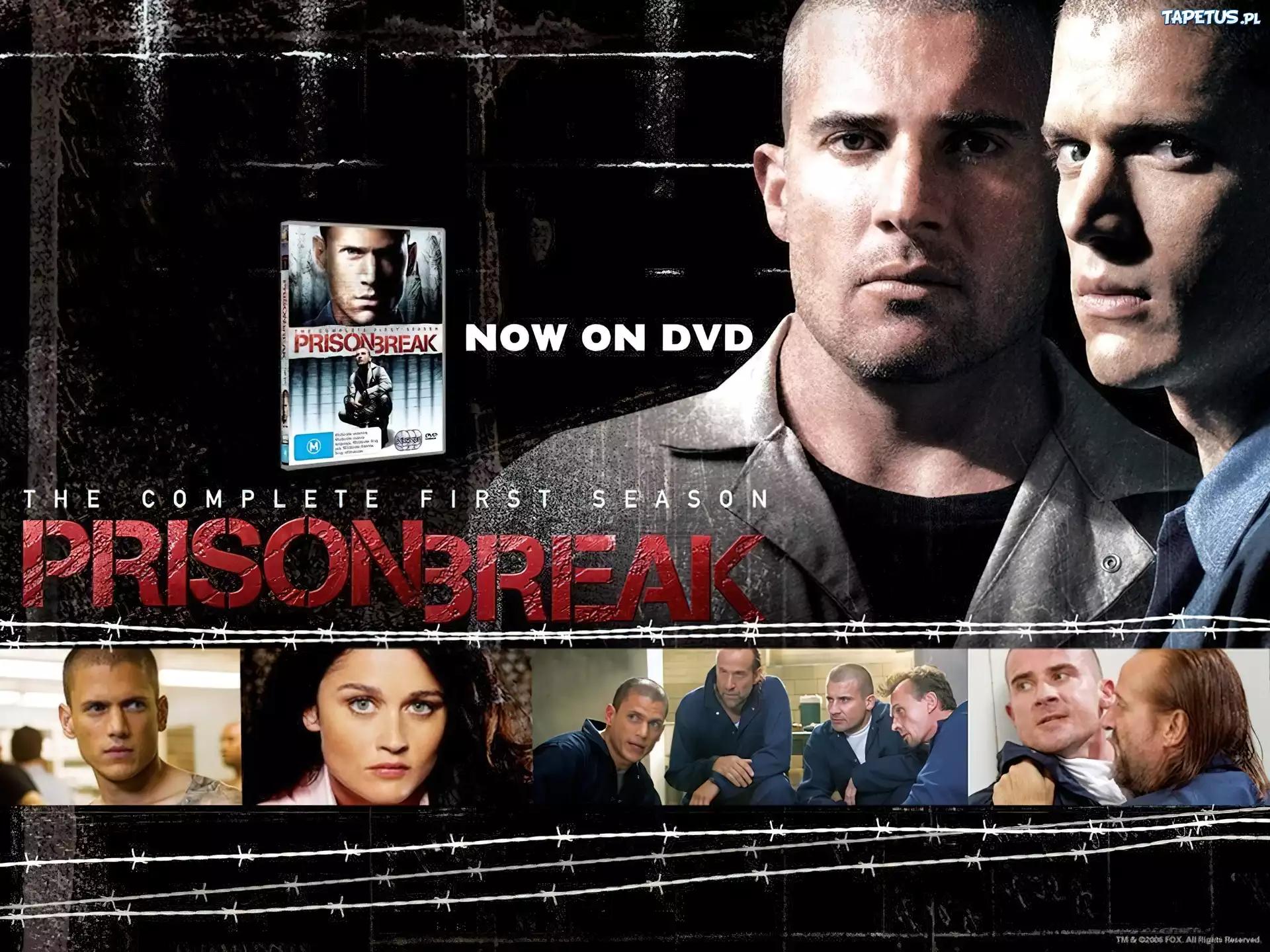 zdjęcia, Prison Break, Skazany na śmierć, Dominic Purcell, Wentworth Miller, Robin Tunney