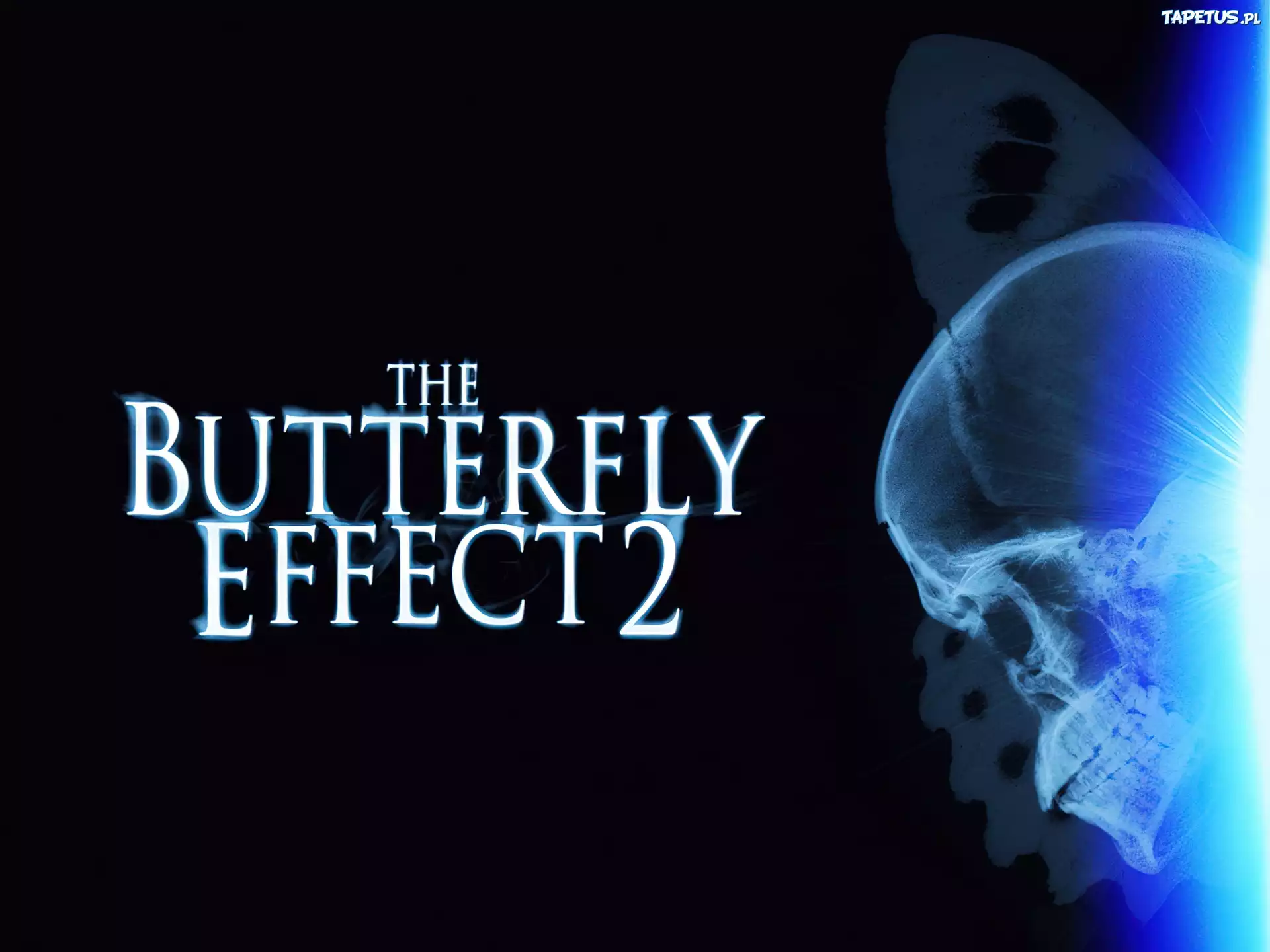 Butterfly Effect 2, czaszka, napis