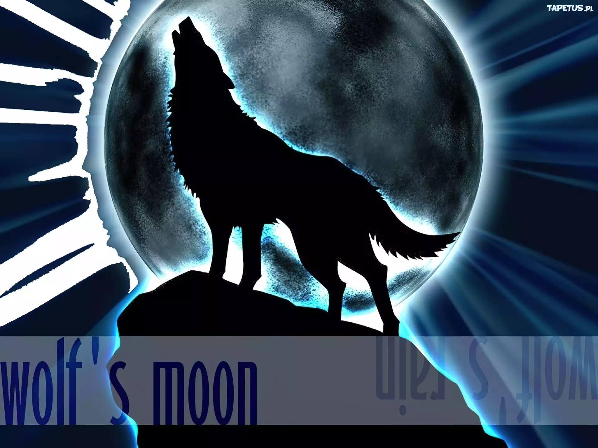 Wolfs Rain, wilk, wyje, księżyc