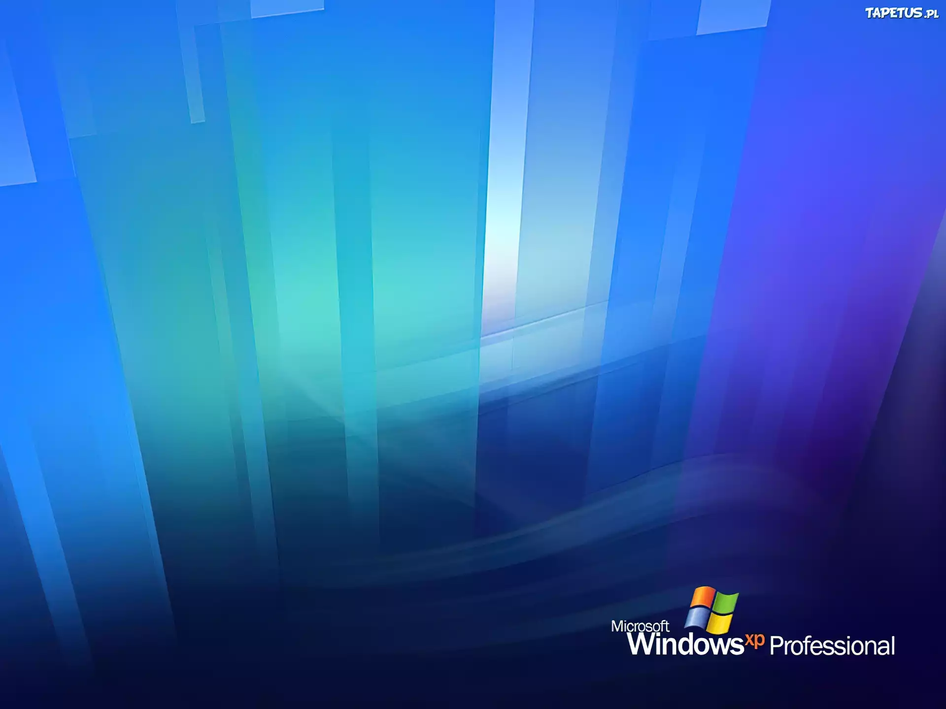 Windows XP