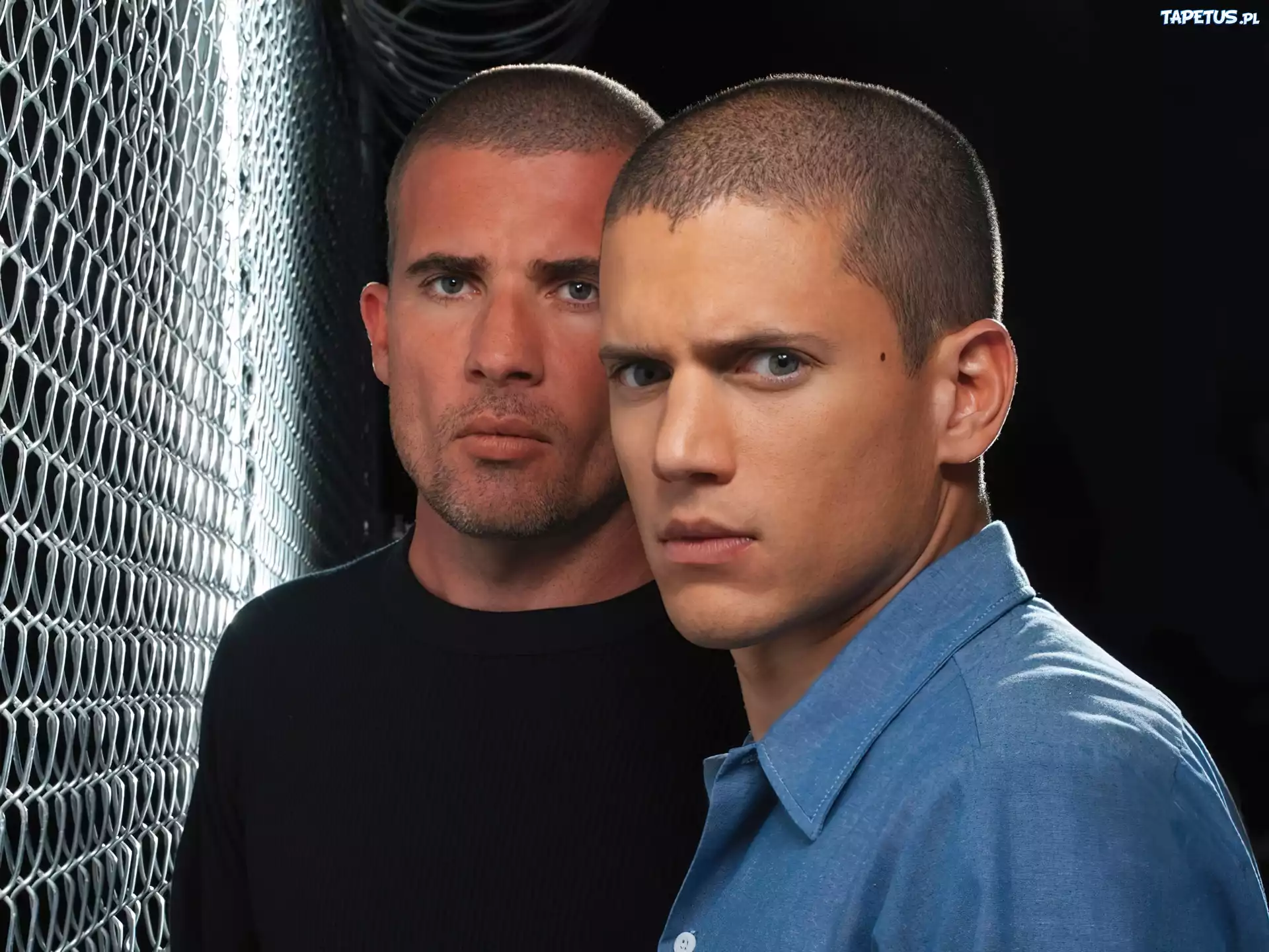 Prison Break, Skazany na śmierć, Bracia, Dominic Purcell, Wentworth Miller