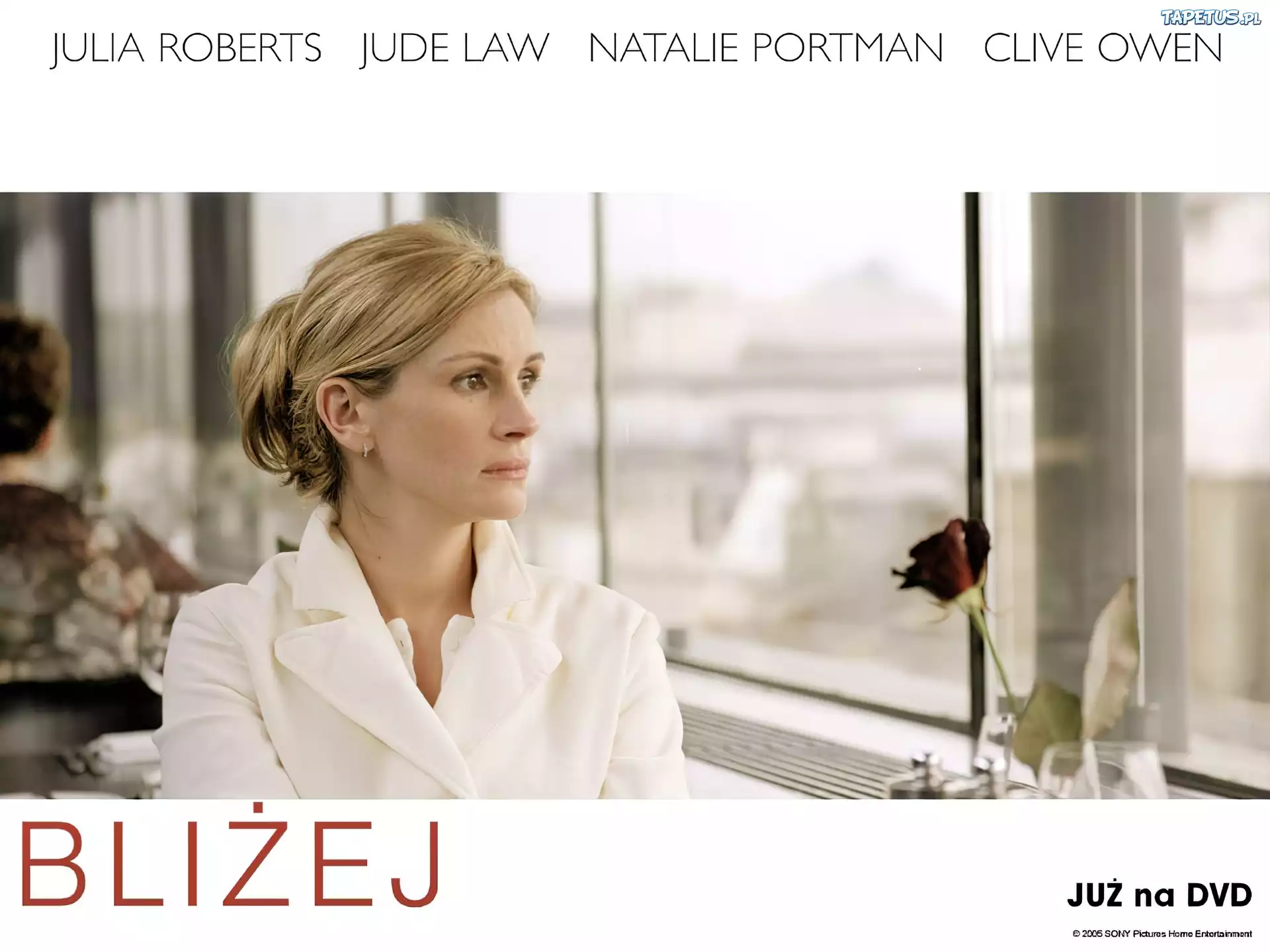 Closer, Julia Roberts, róża, okno