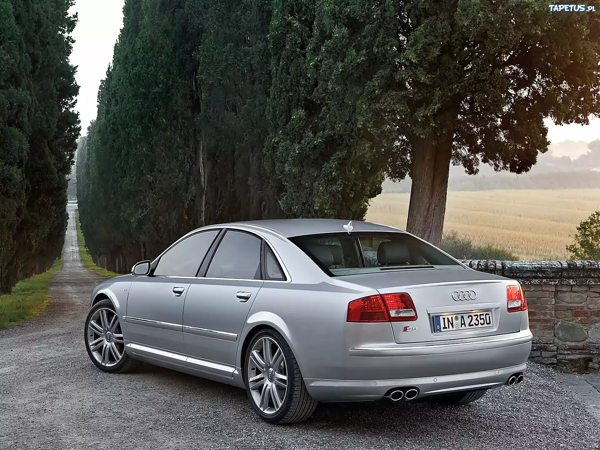 Audi A8, D3
