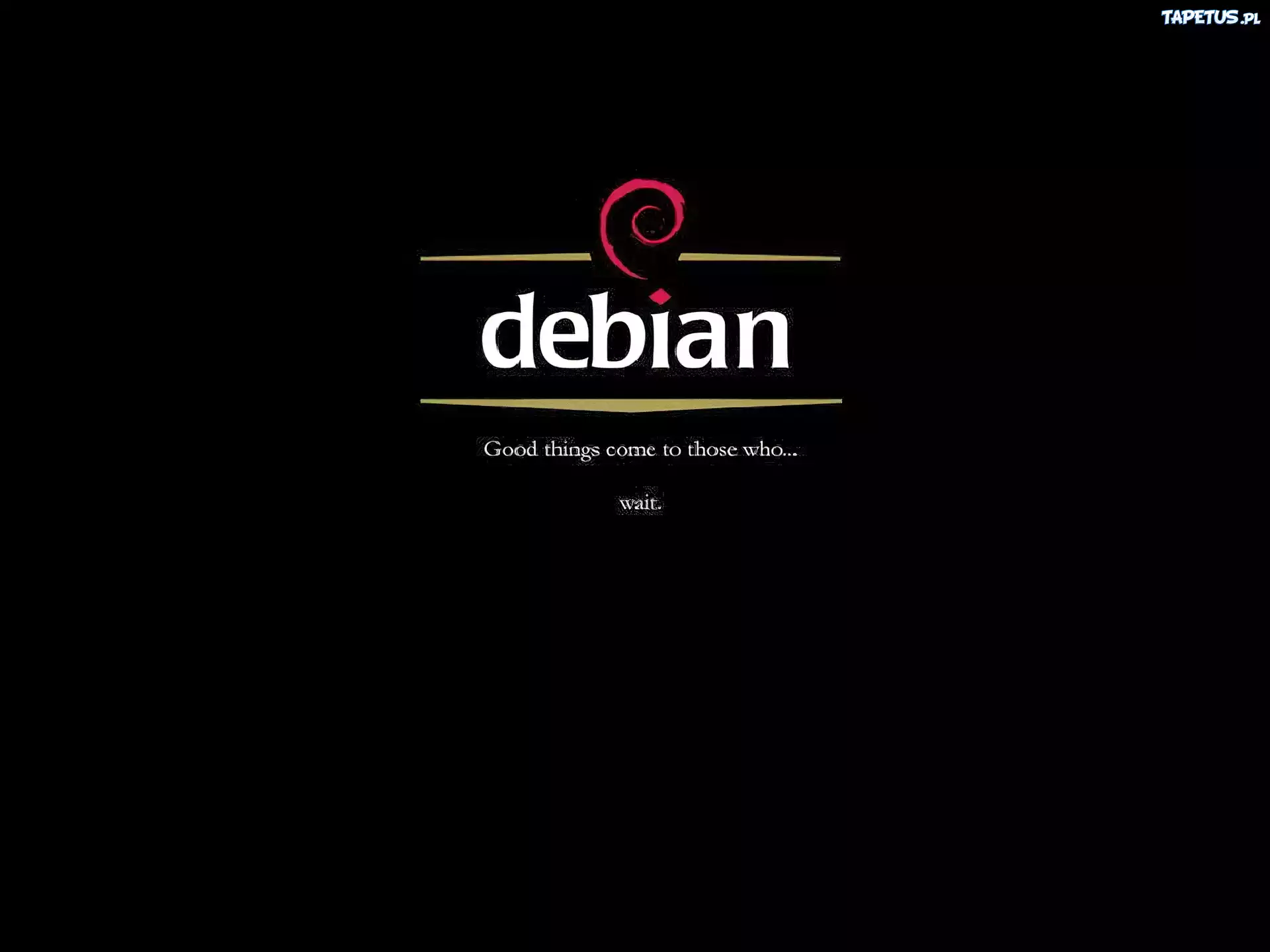 Linux Debian, ślimak, grafika, muszla, zawijas