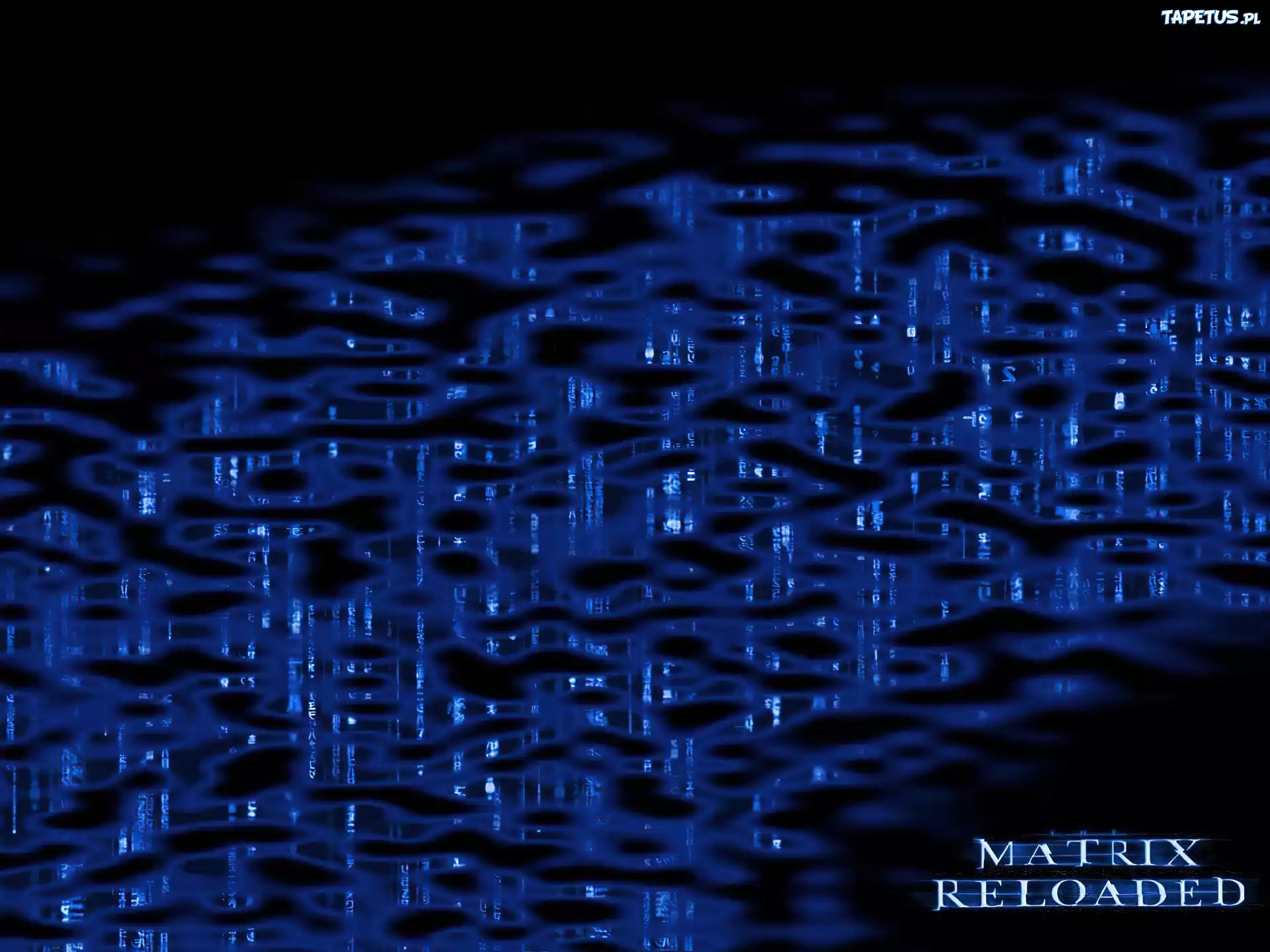 Matrix, czarne, plamy, napis