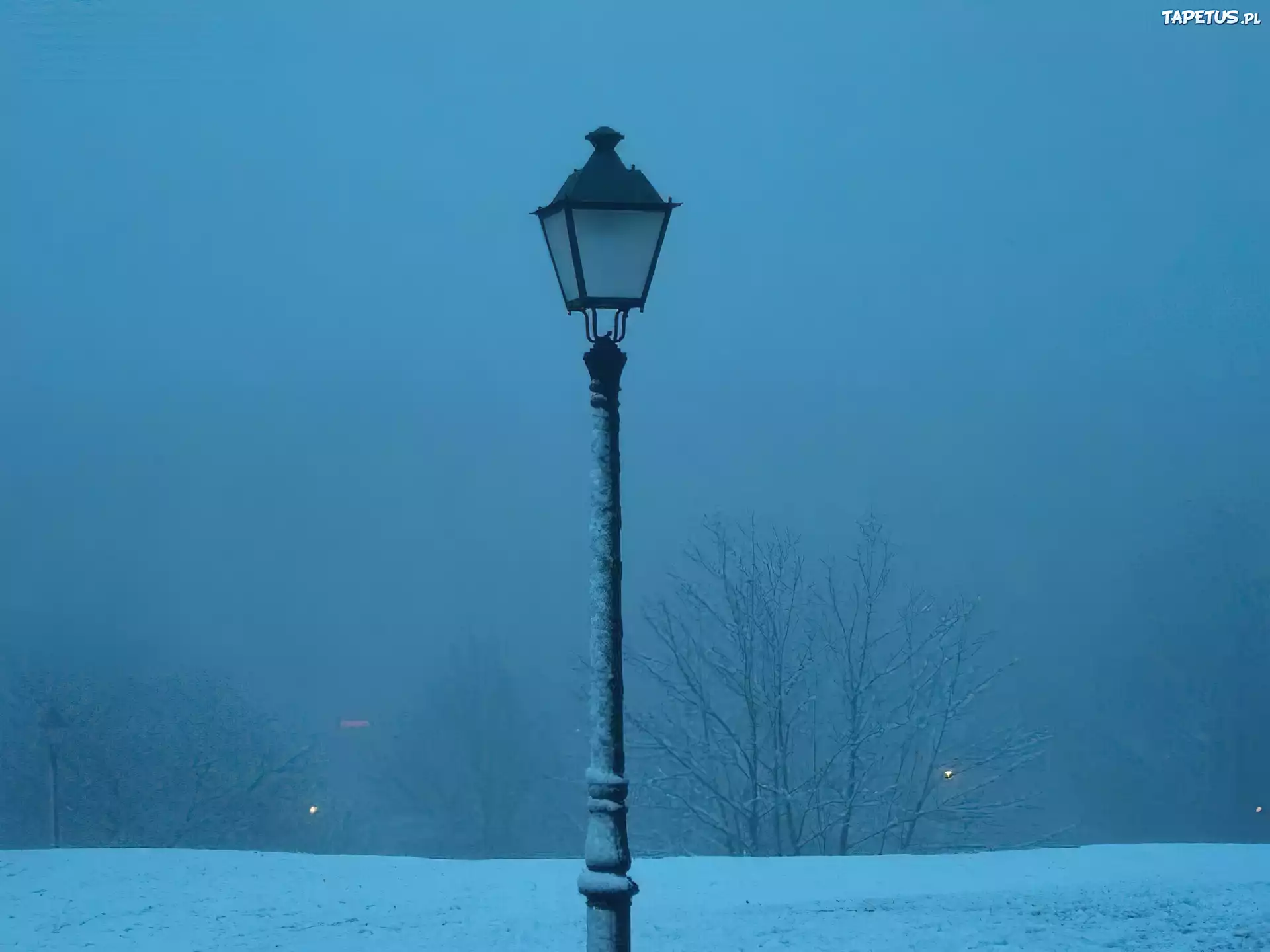 Zima,lampa