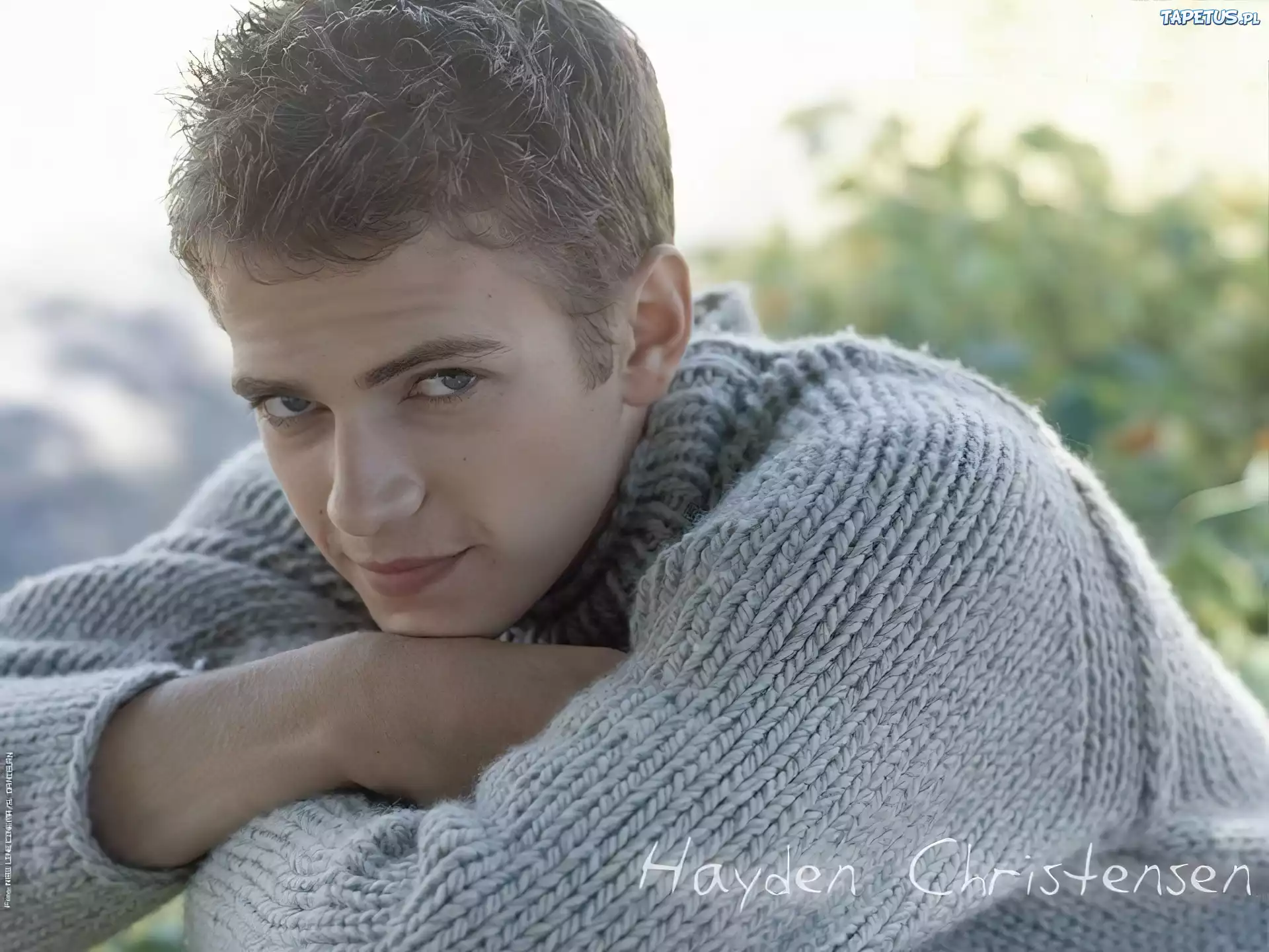 Hayden Christensen,sweterek, blond włosy