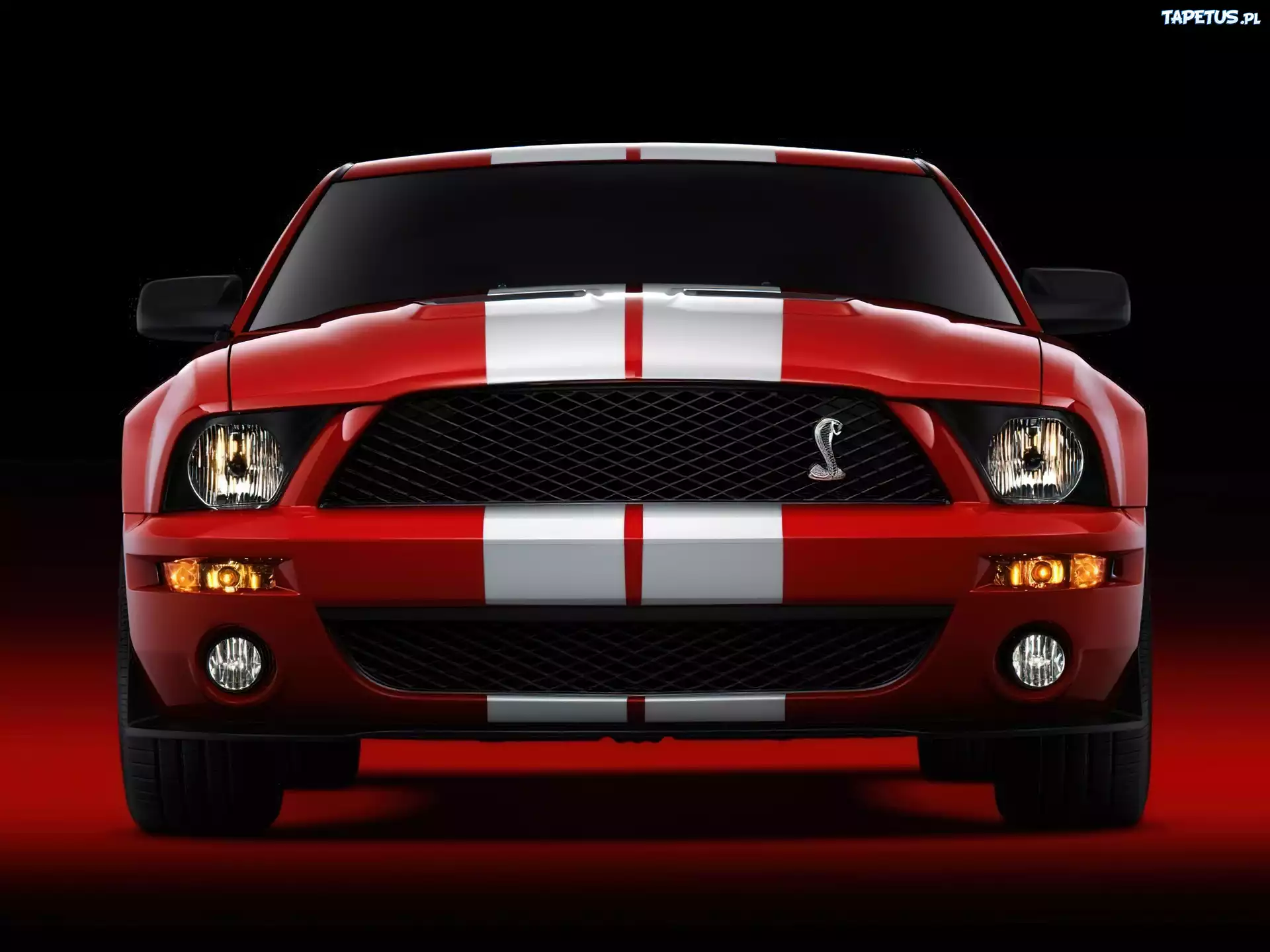 Shelby, Ford Mustang, Czerwony, Halogeny
