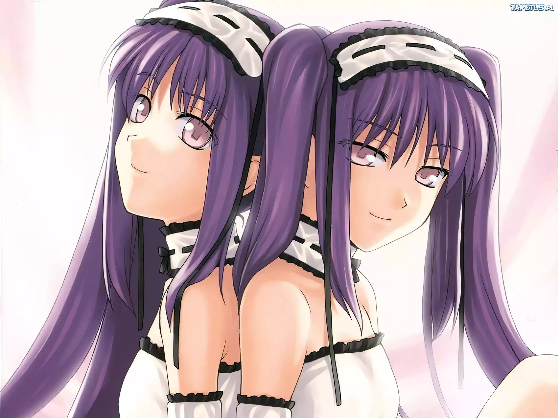 Fate Stay Night, dziewczyny, kitki