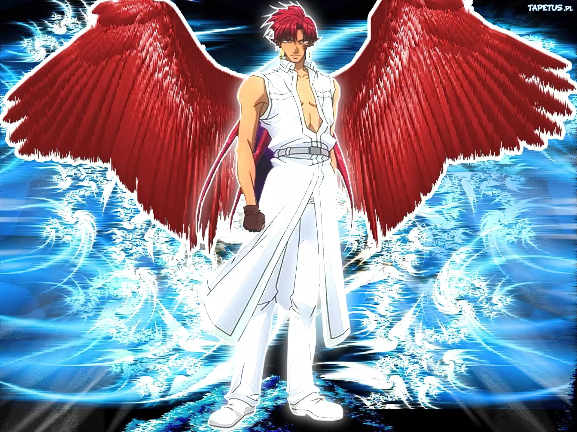 Saiyuki, czerwone, skrzydła