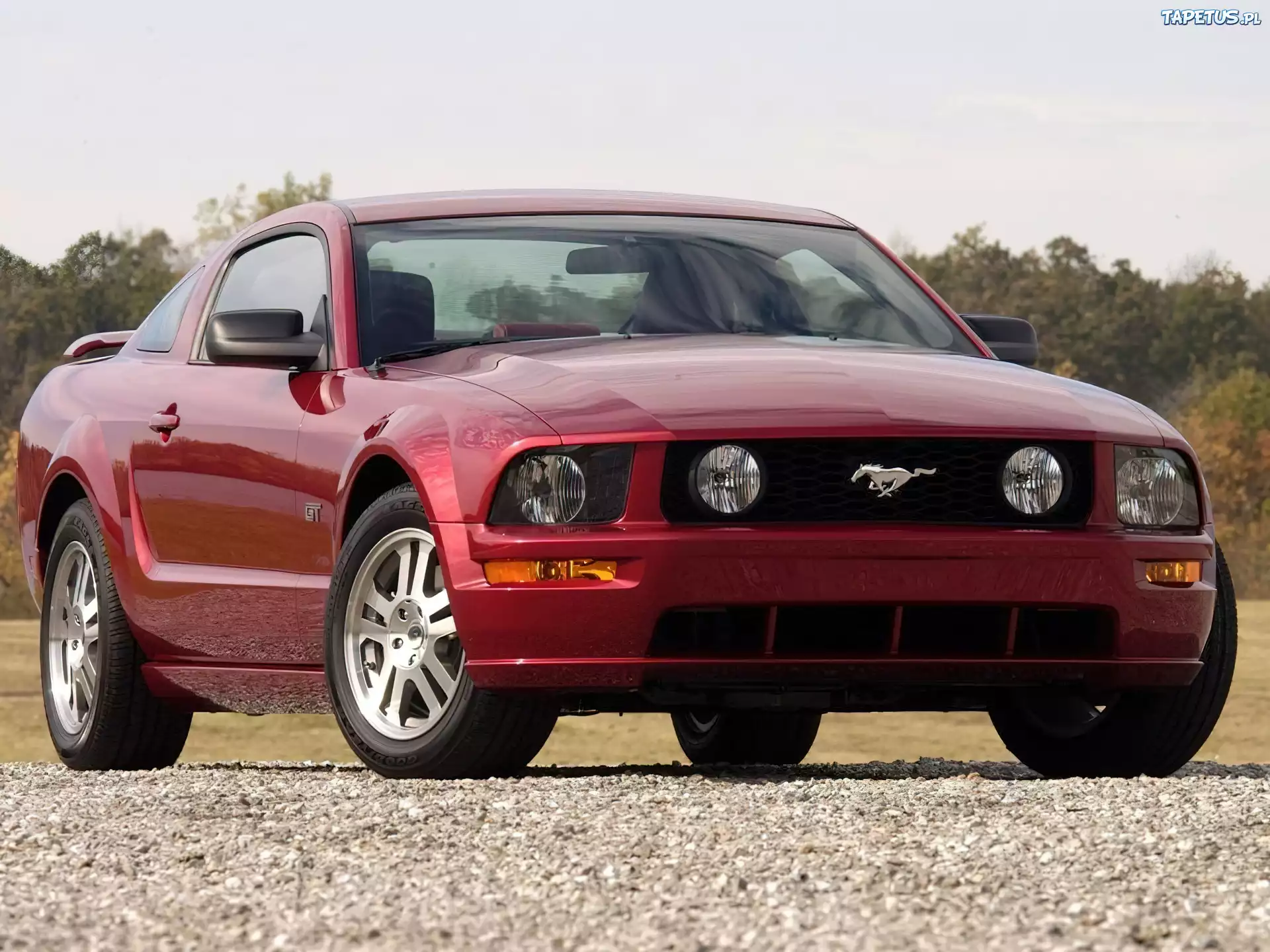 Wiśniowy, Ford Mustang