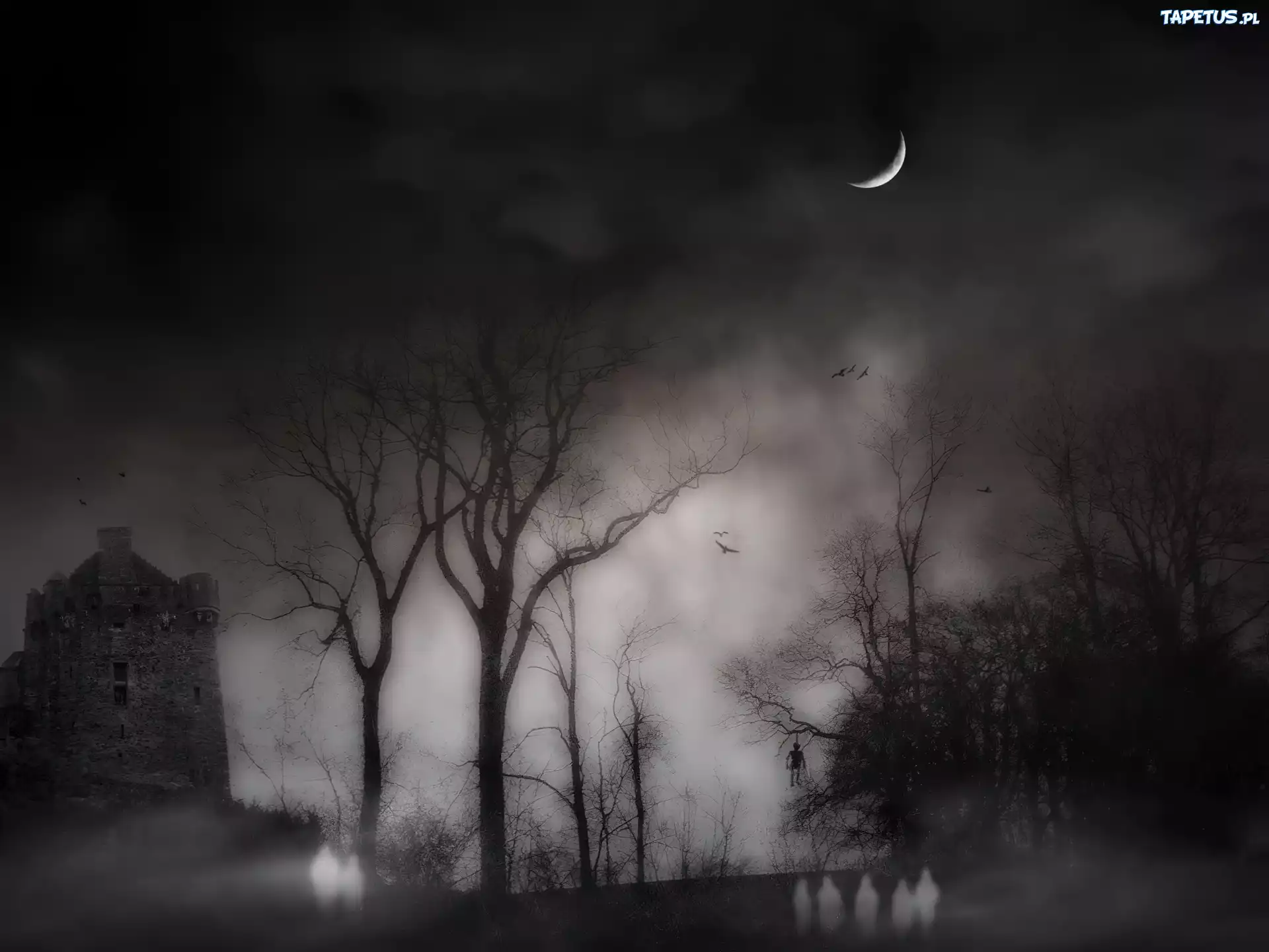 Halloween,ciemna noc