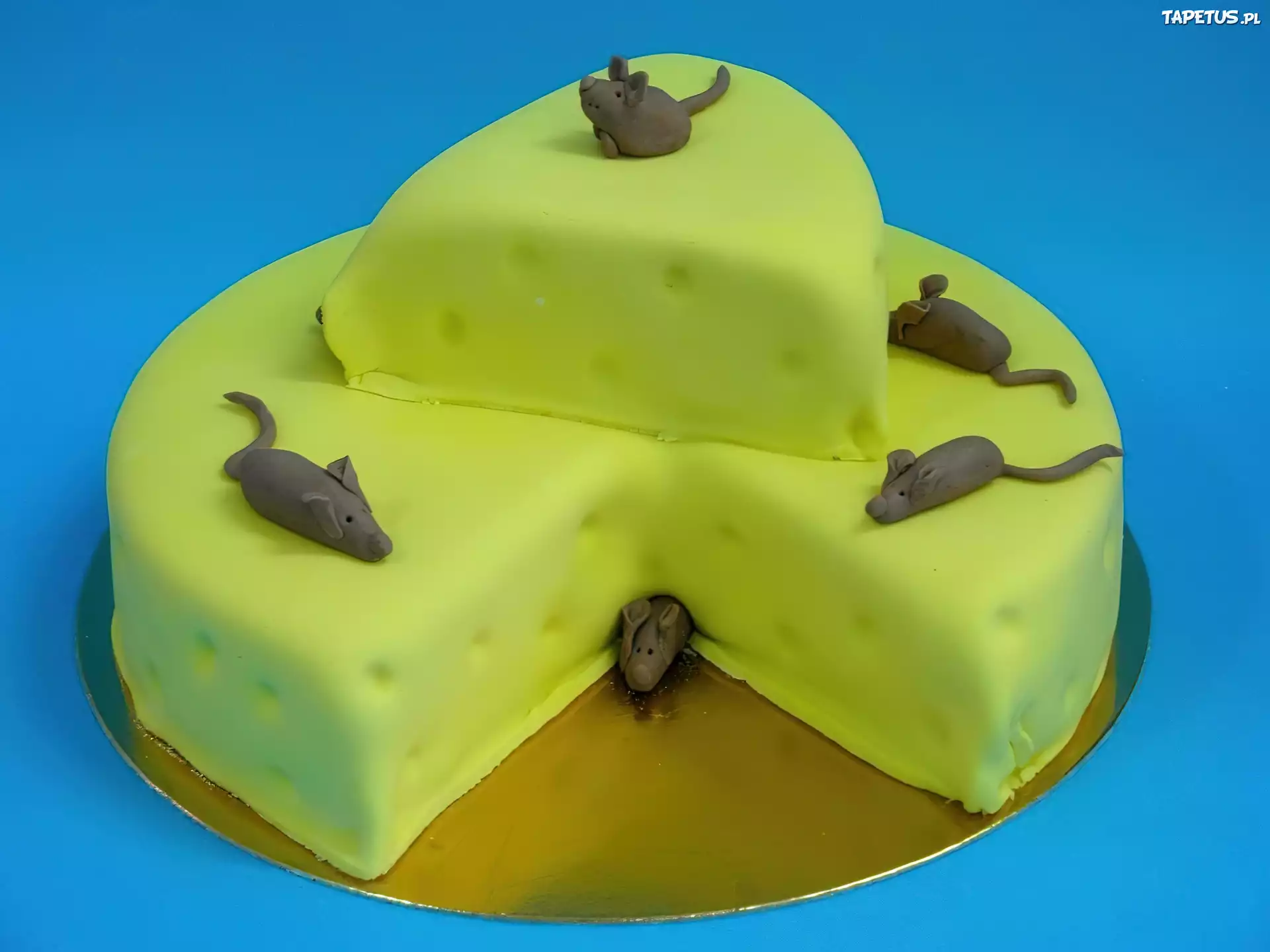 Tort, Ser, Myszki