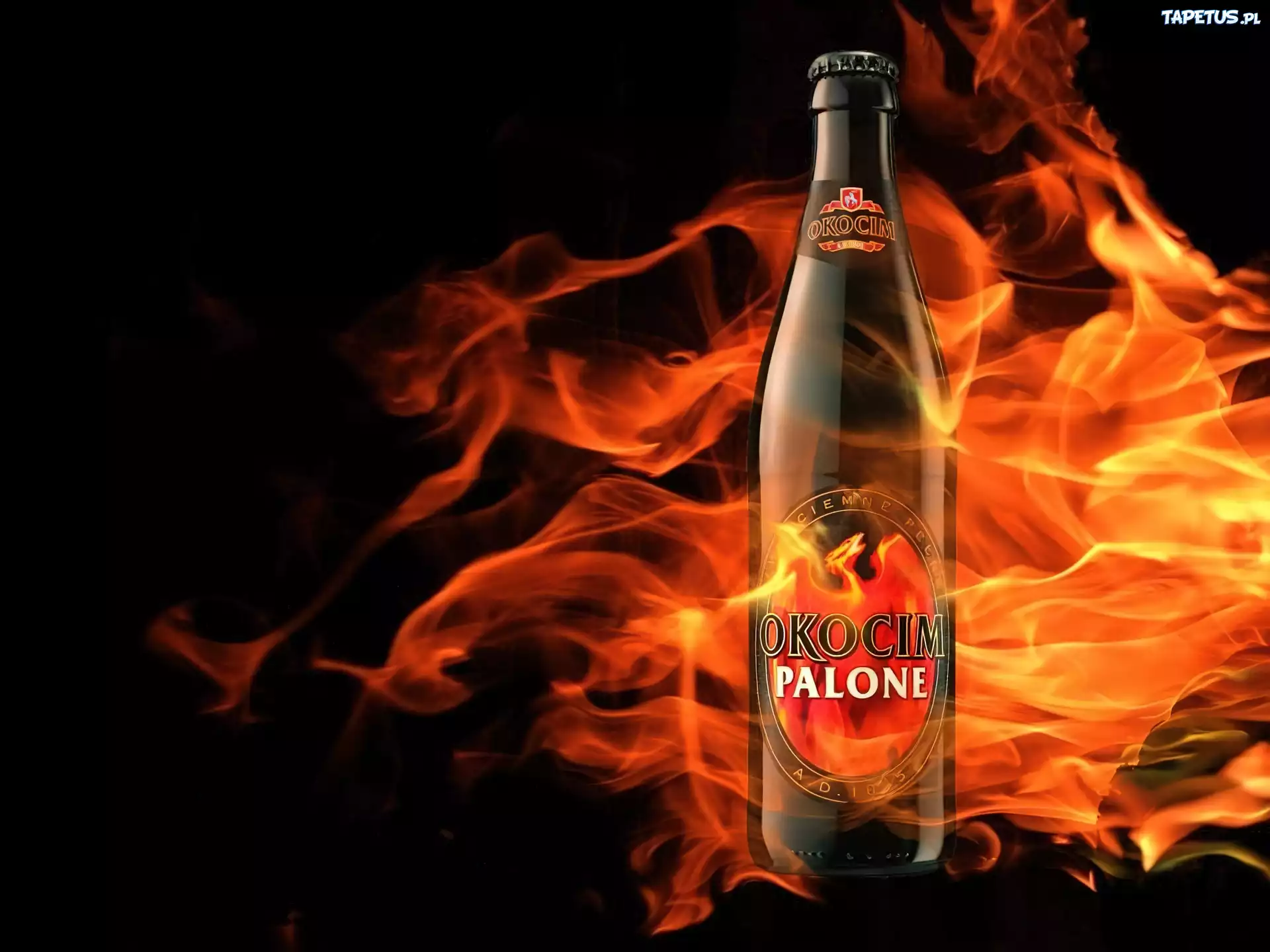 Piwo, Piwo Okocim, palone
