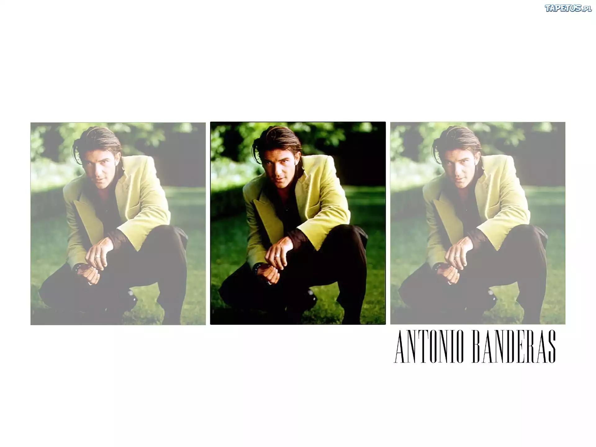 Antonio Banderas, zielona, marynarka