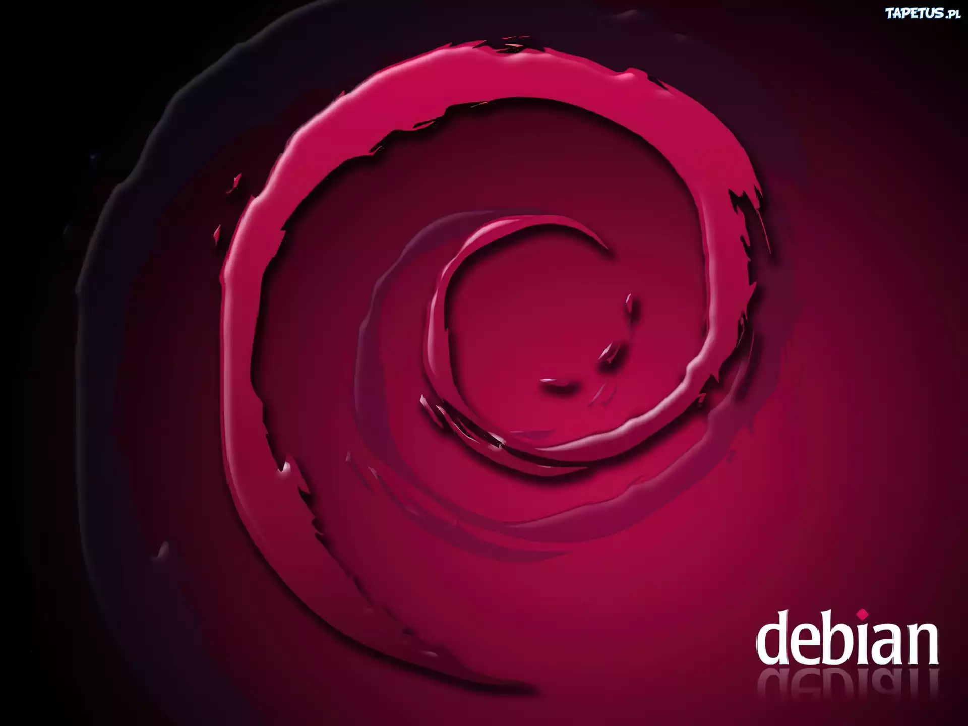 Linux Debian, grafika, ślimak, muszla, zawijas